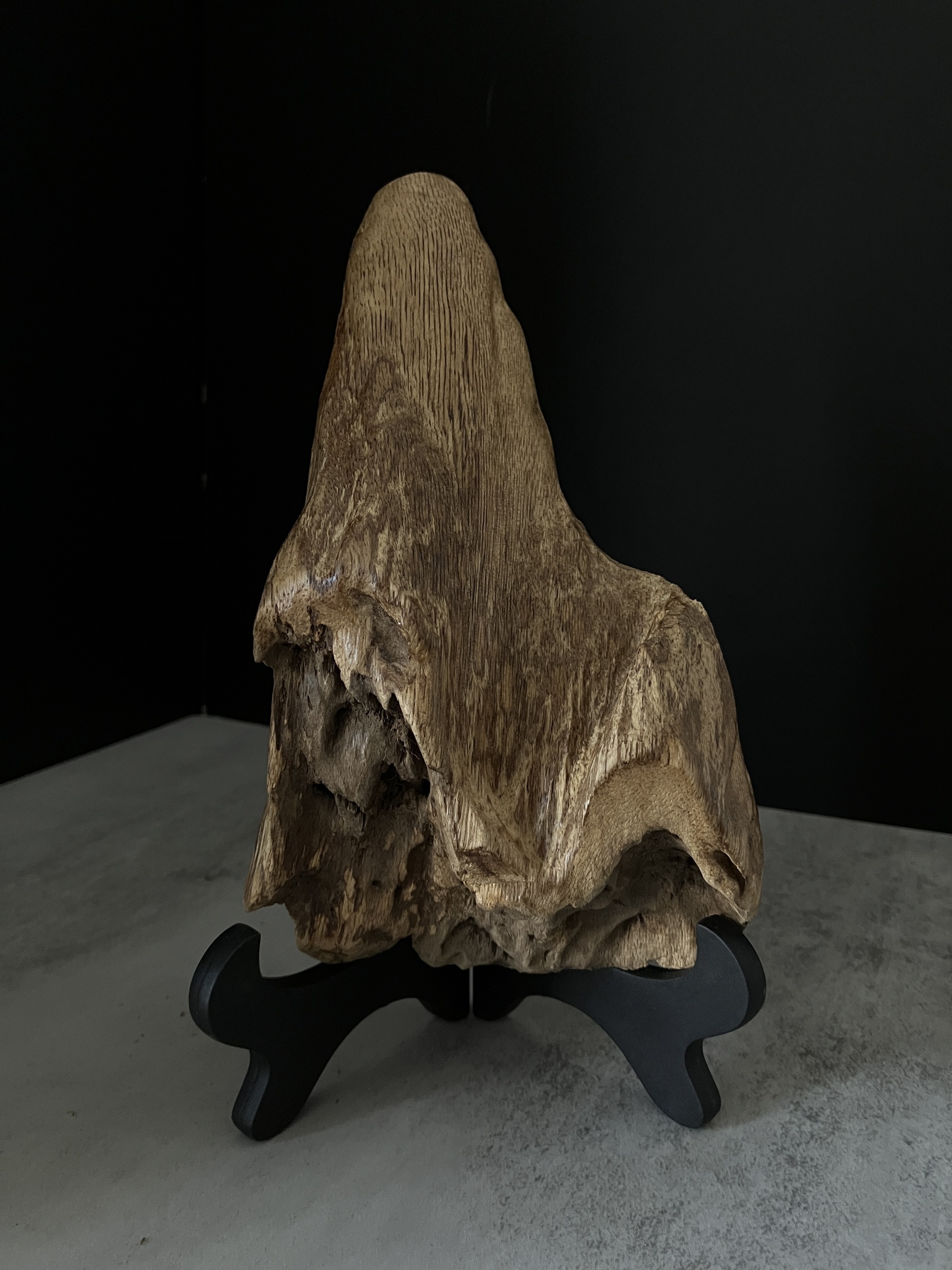 image_E432A499-11A6-4998-96E3-3525AB6A36EA_1767080066