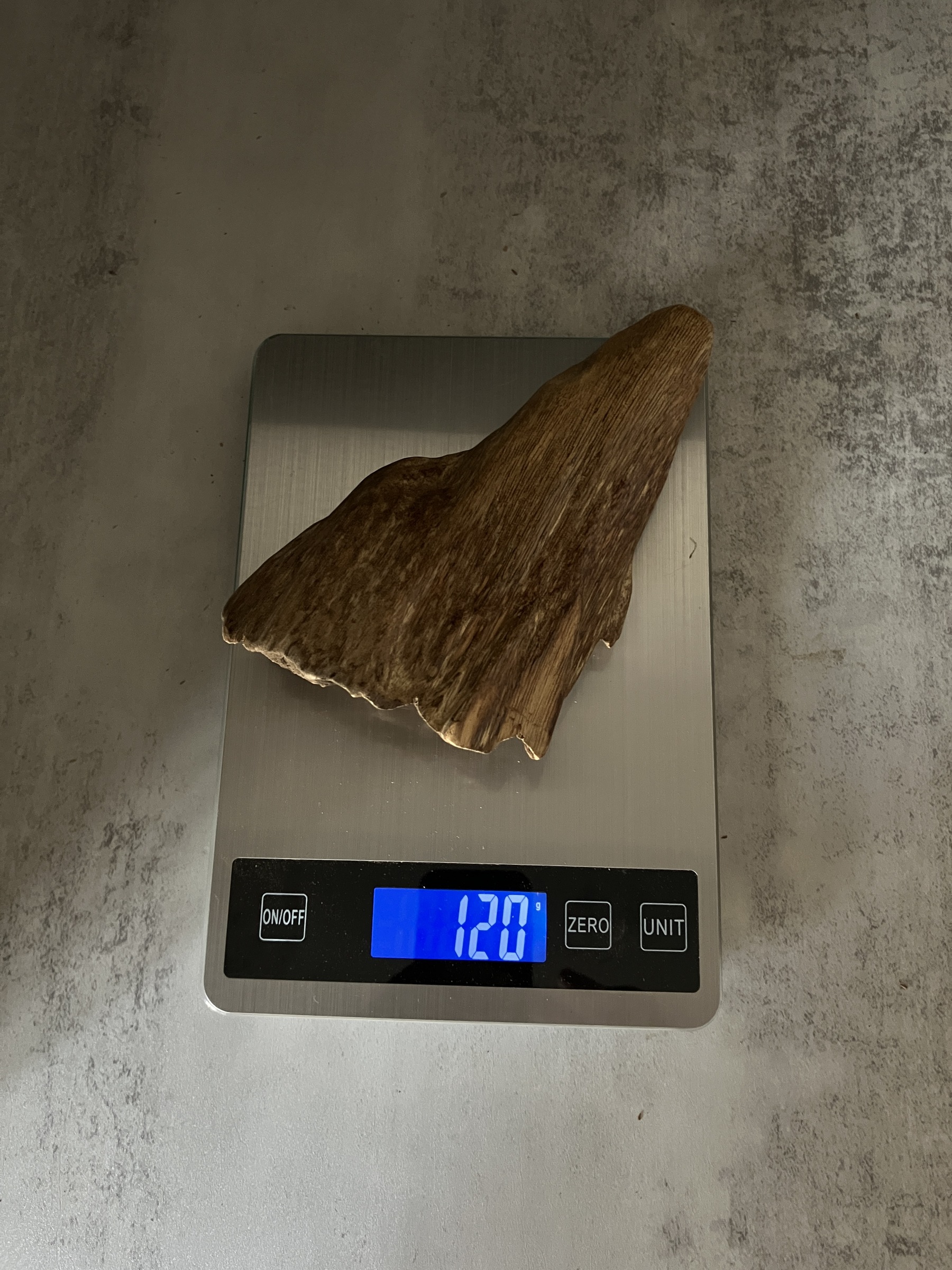 image_B97B698B-7ED3-4610-8DE8-A52D126157CF_1767080066