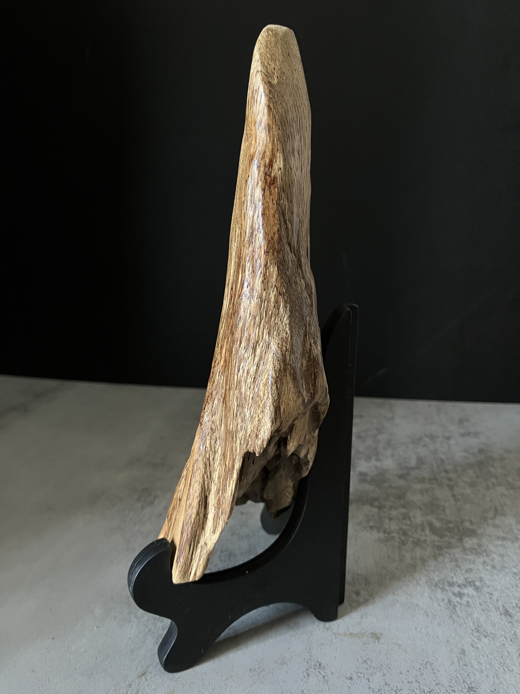 image_36FE1061-966D-44C5-BC76-0D88E13E8982_1767080066