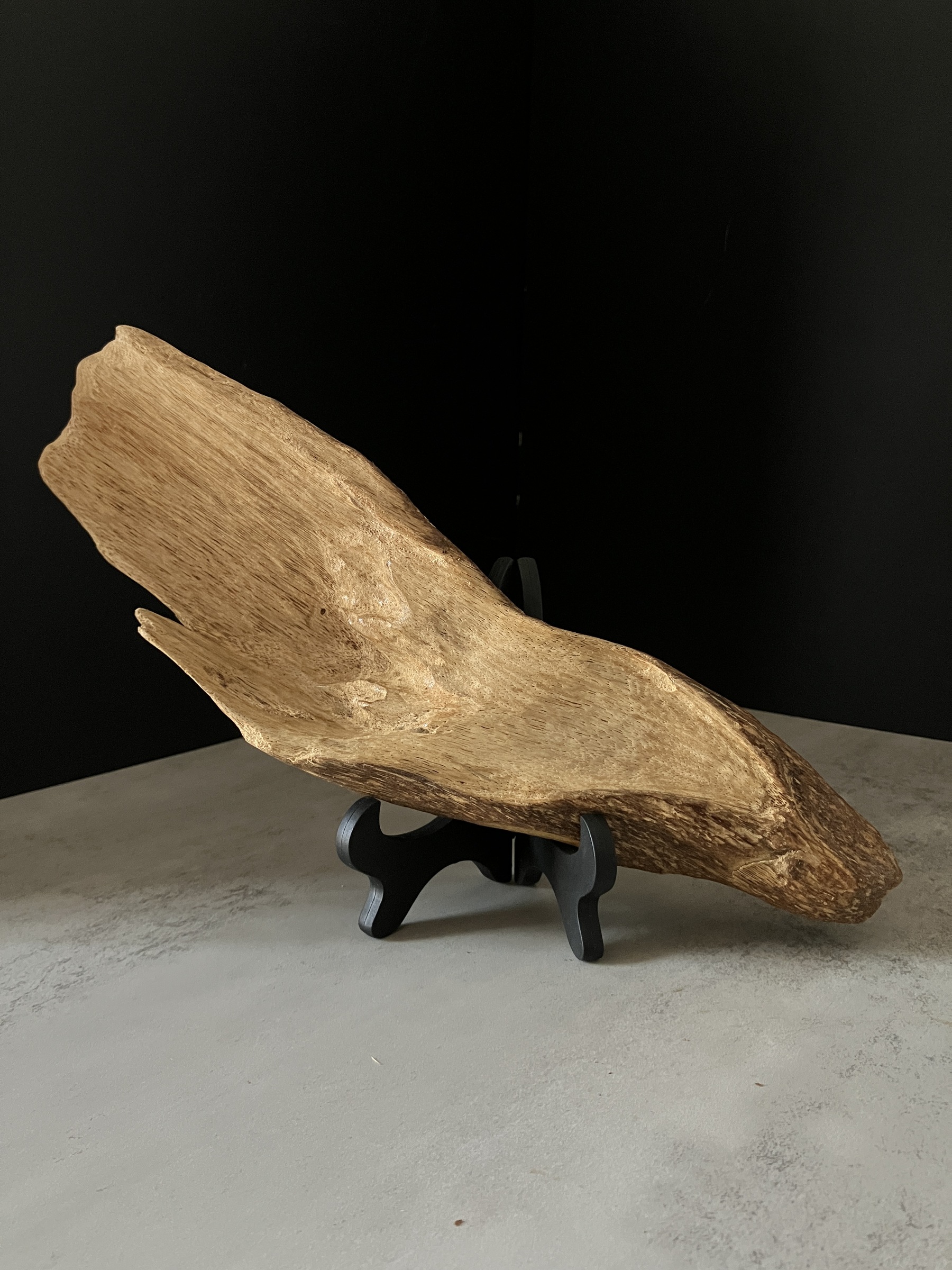 image_4BC037DB-5BEA-408A-8E84-BBEAF326A267_1767080417