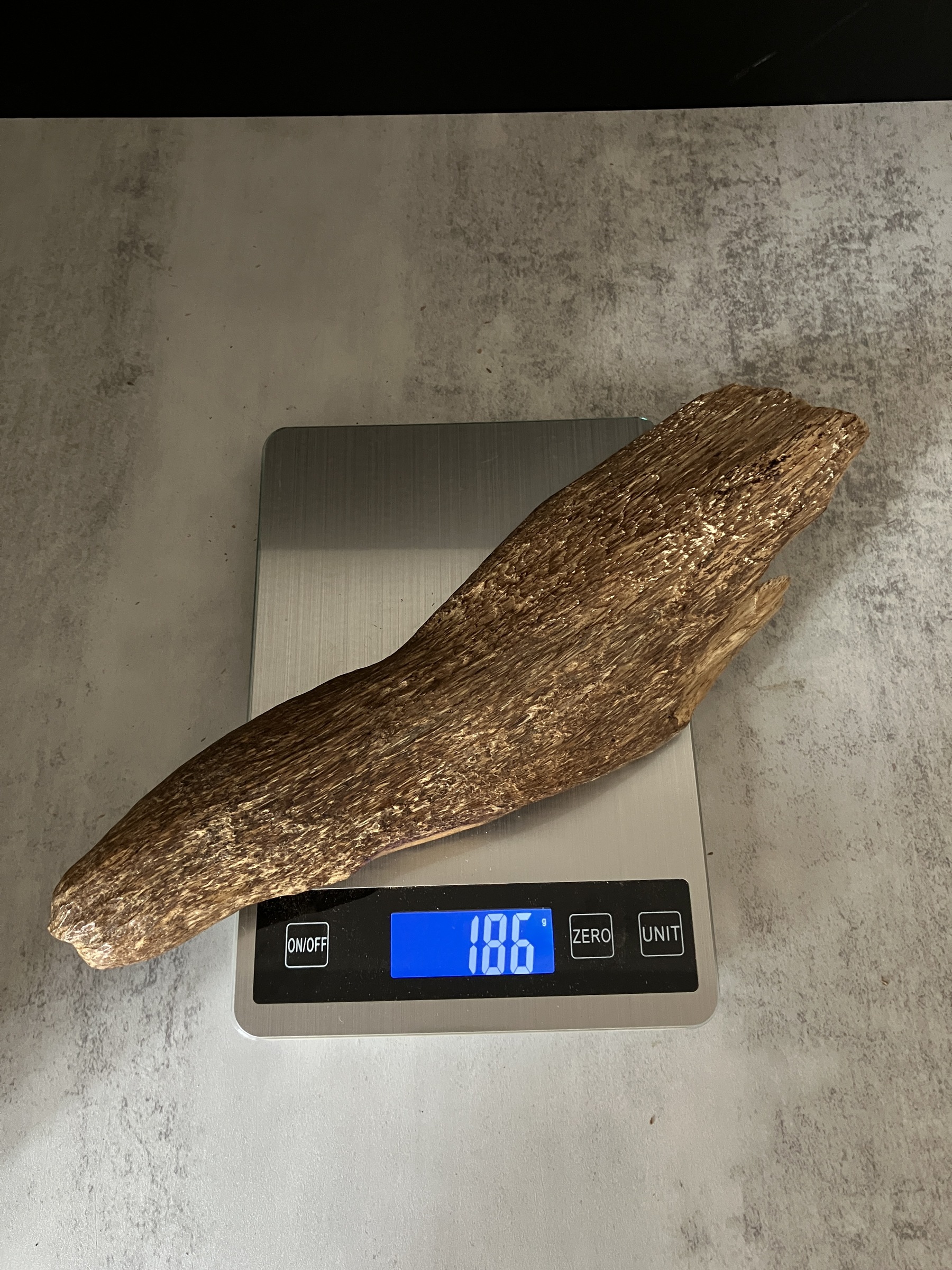 image_9A878D23-7DAC-4159-B58E-8AD7DB6F3546_1767080417