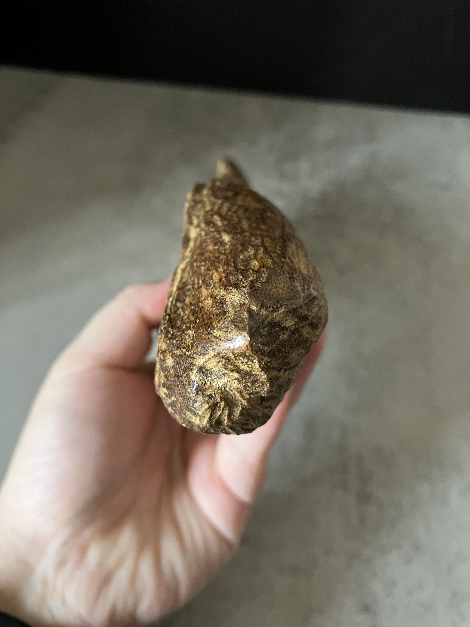 image_3088FD38-93E0-40BF-AC14-25F80C613099_1767080417