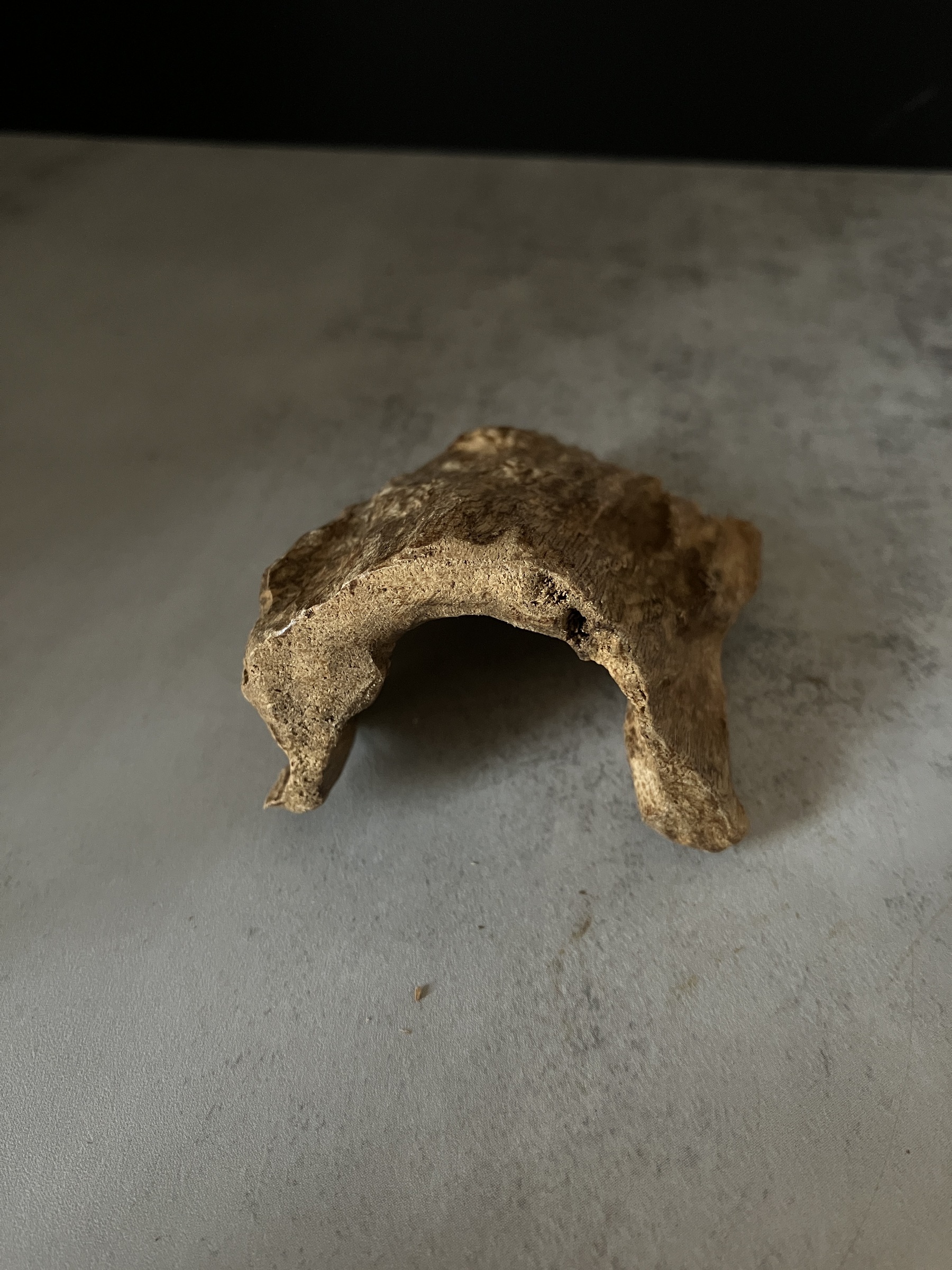 image_2BDB23F1-629F-4E34-85B4-807540411F2B_1767080487