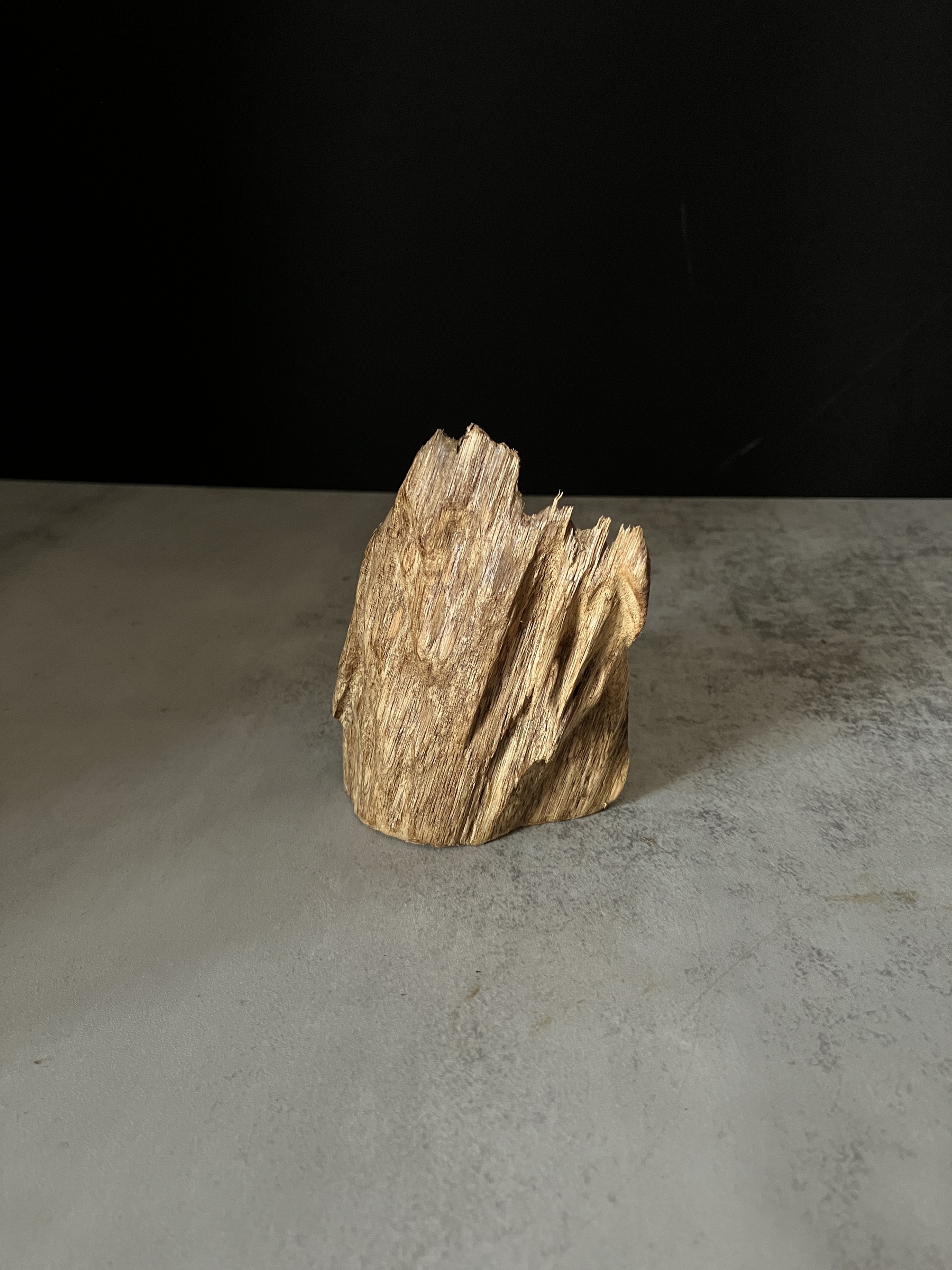 image_D49FBE1E-5F54-4734-B9AB-C9DE72E1306A_1767080487