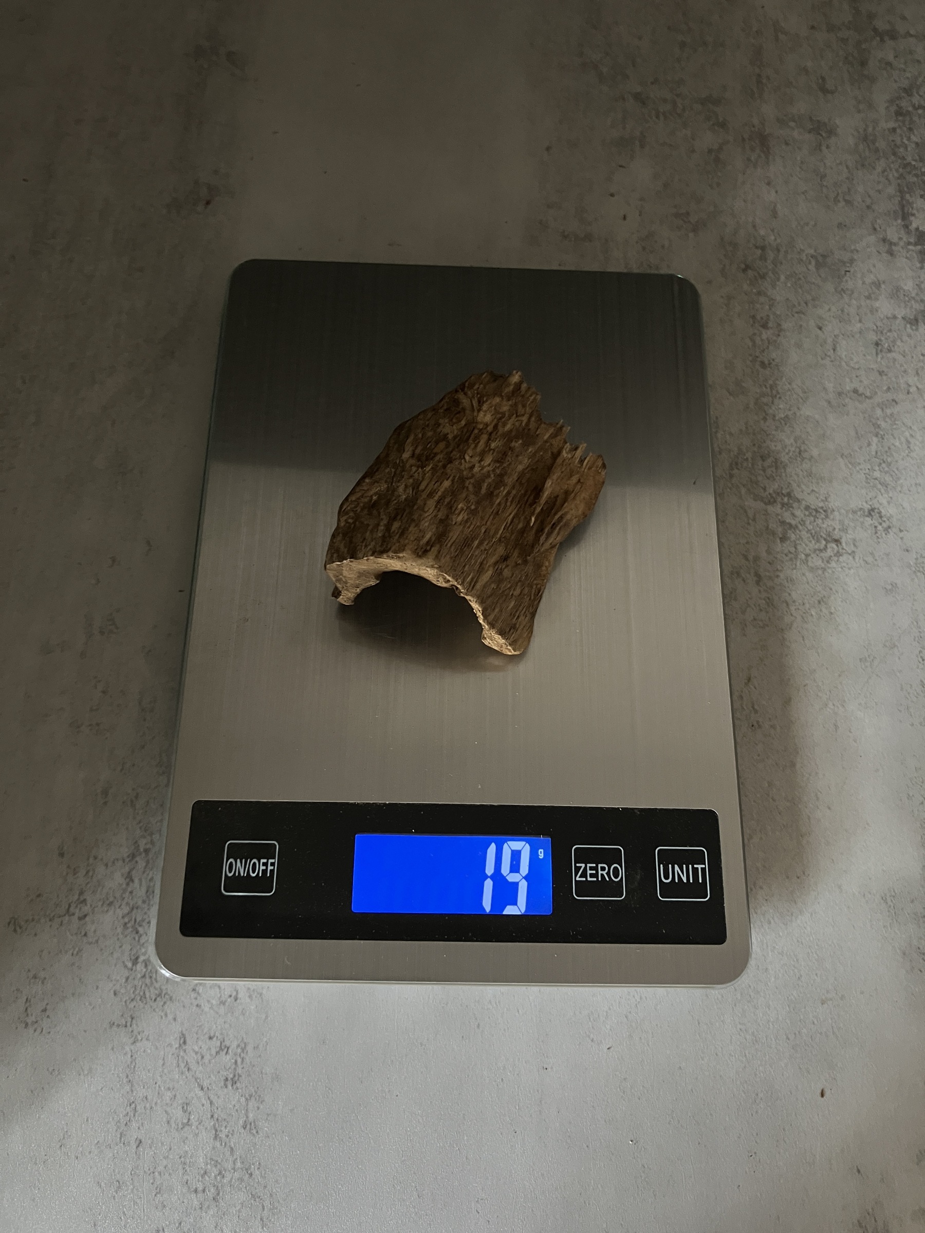 image_9294EF98-58E6-41D7-BCD6-569F0097137B_1767080487