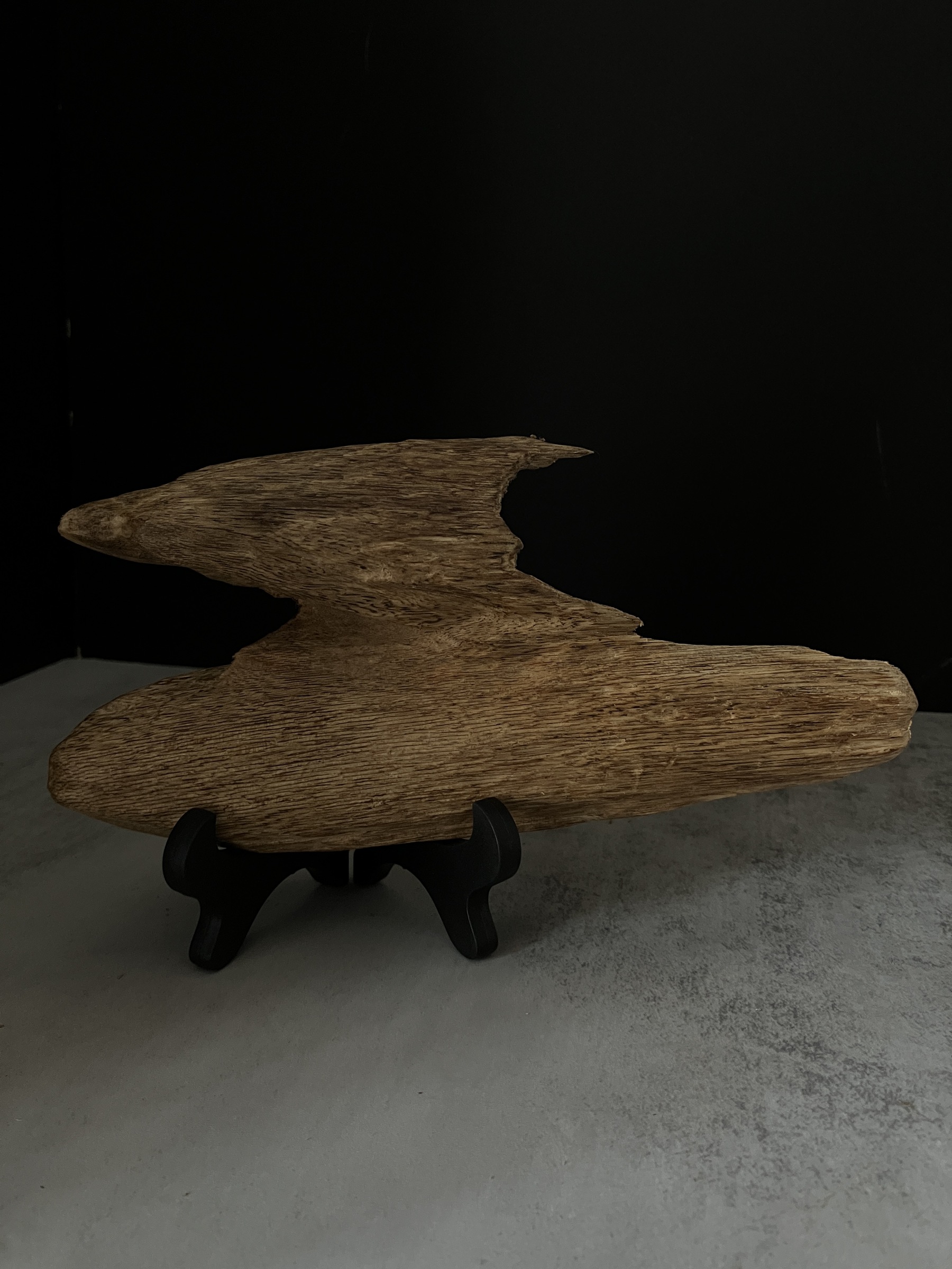 image_55F62097-9091-4C1D-97DF-3839072F4C1E_1767080582