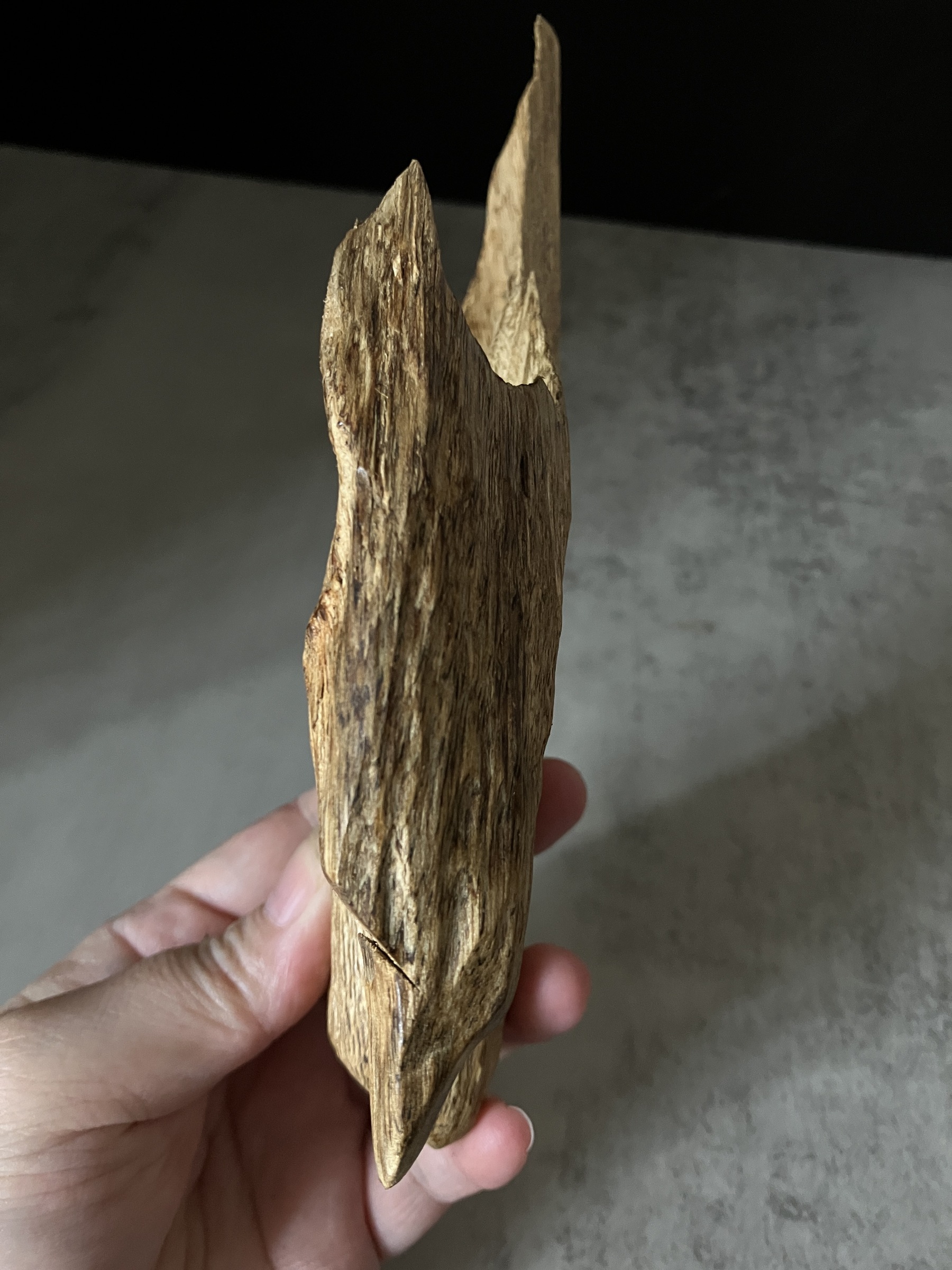 image_C3C59630-97F1-469E-B351-B2B2061369F5_1767080582