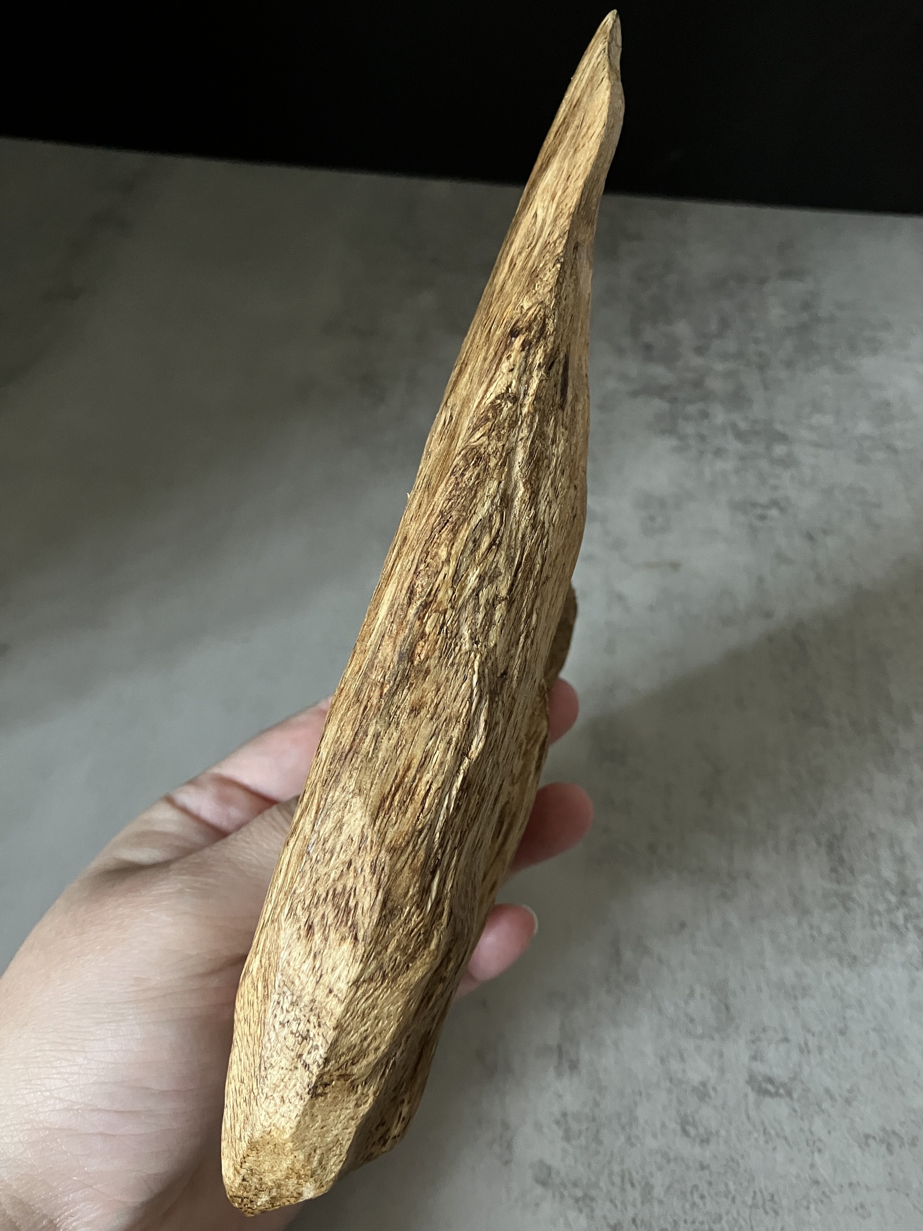 image_EF9A0E7A-9DF5-47E1-A201-56C0FBFCBD7C_1767080582