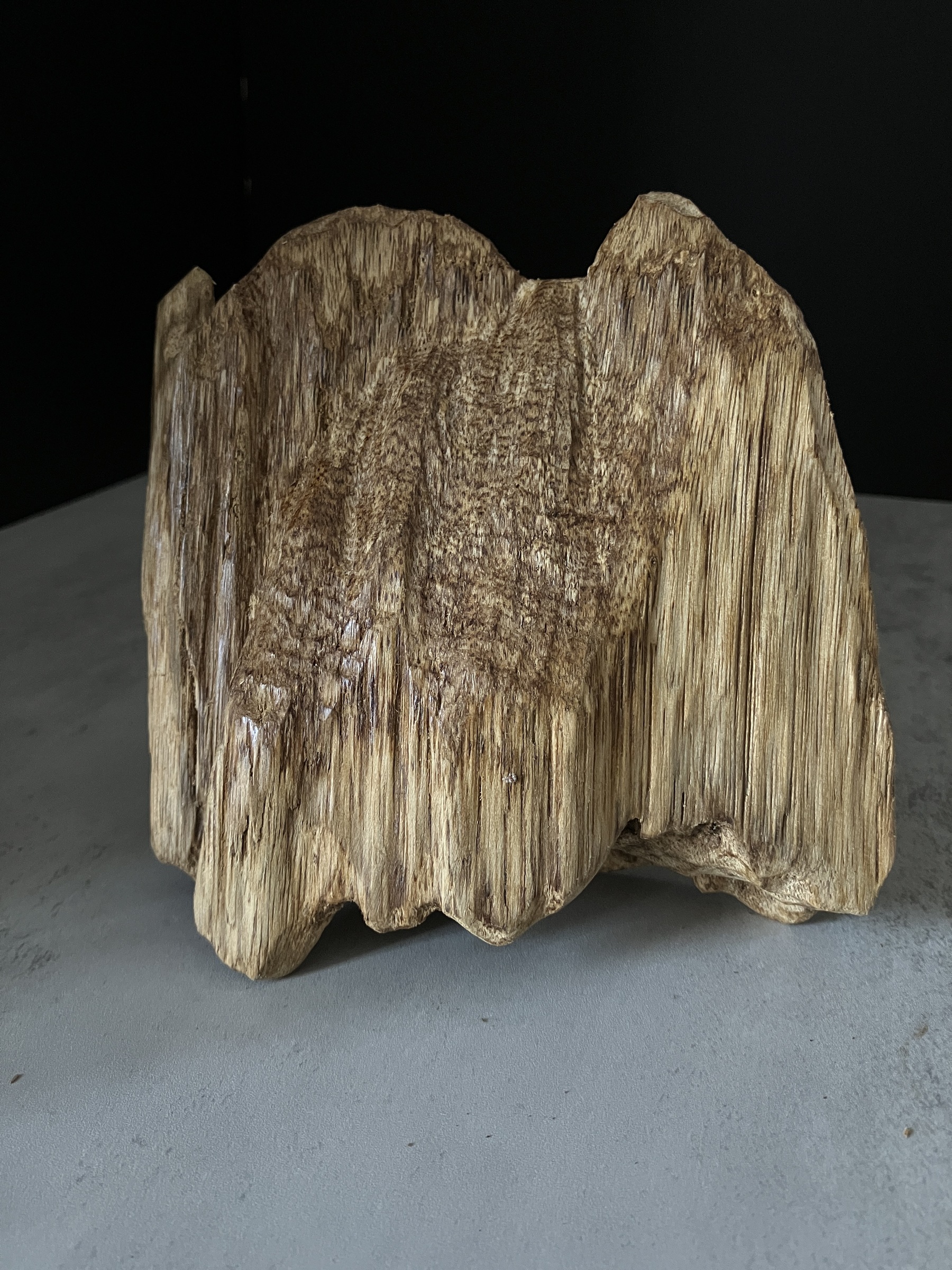 image_B703D432-817D-4DA3-8BDC-FDAB68C706FF_1767080691