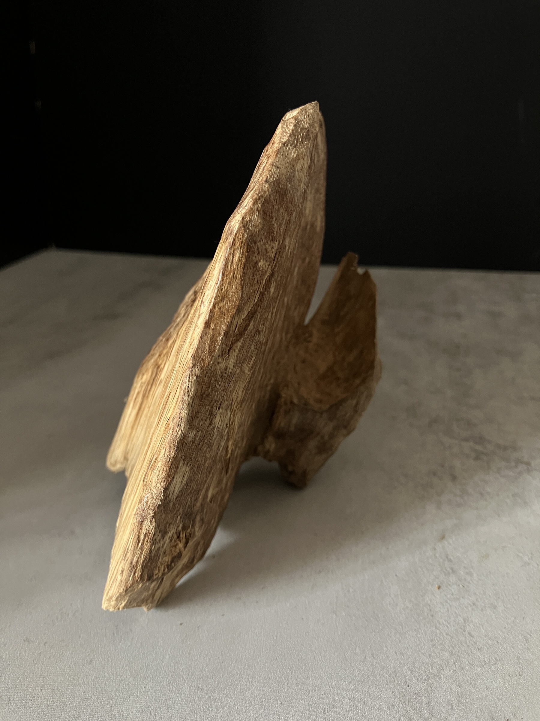 image_14ACA19C-8E10-424B-B215-A75DDD7D54CC_1767080691