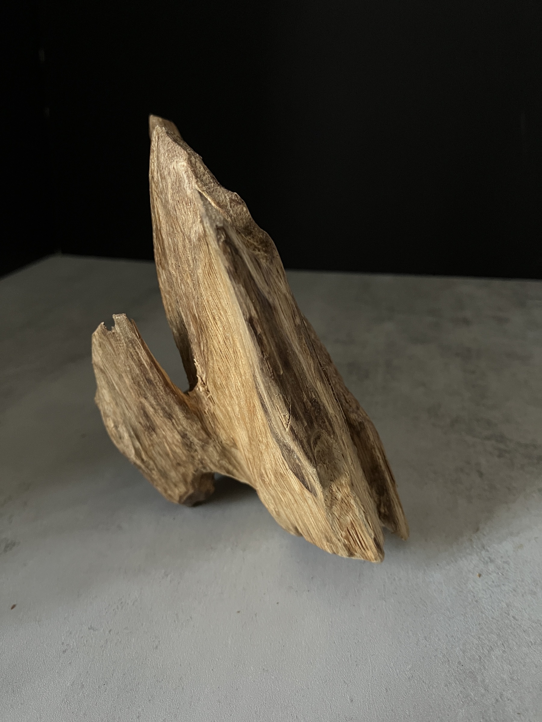 image_3B8705BE-2F10-42D2-9BC3-E9EF70563879_1767080691