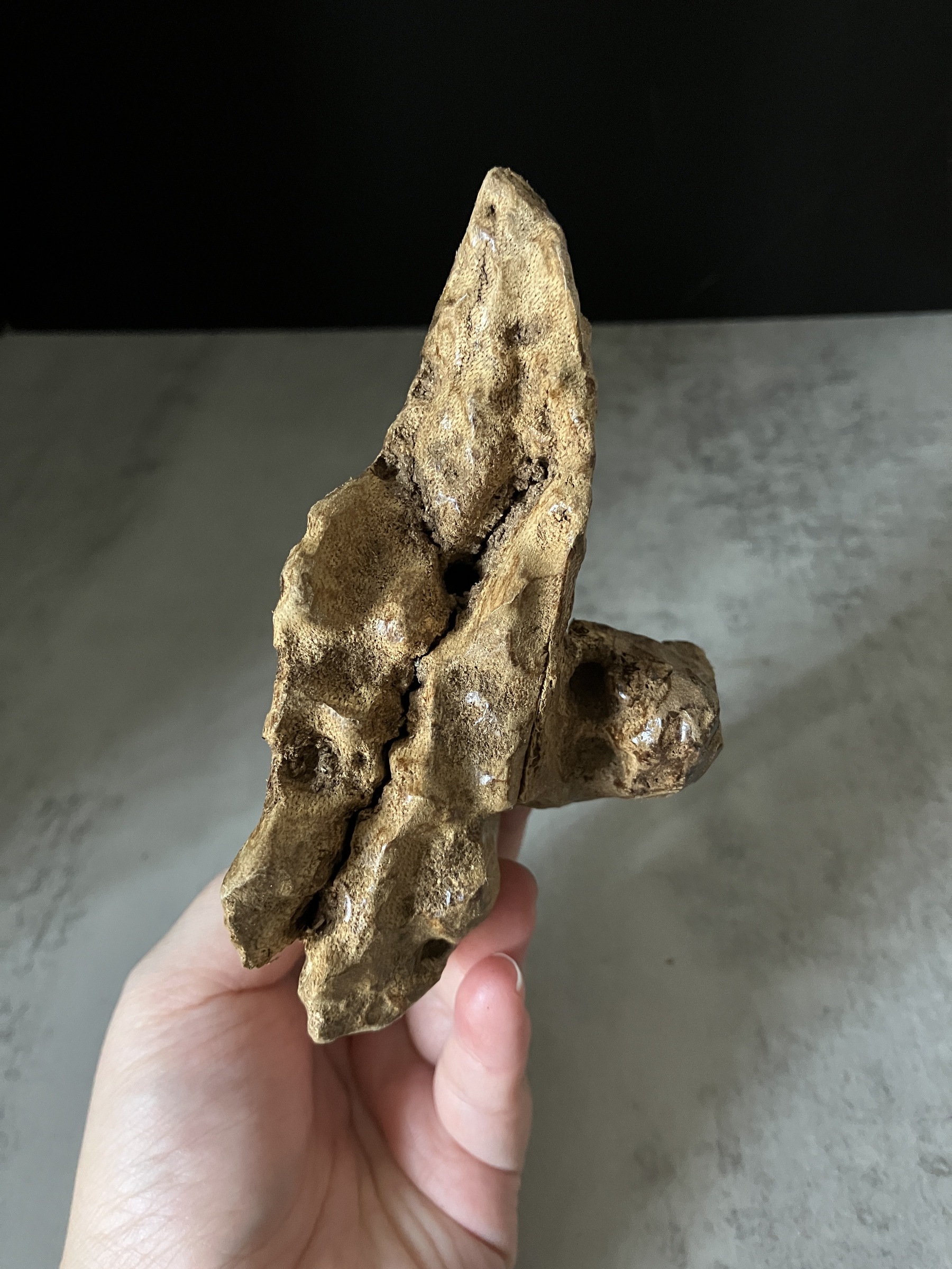 image_CB135E78-D274-4C21-AEC9-DE8F8205E979_1767080691