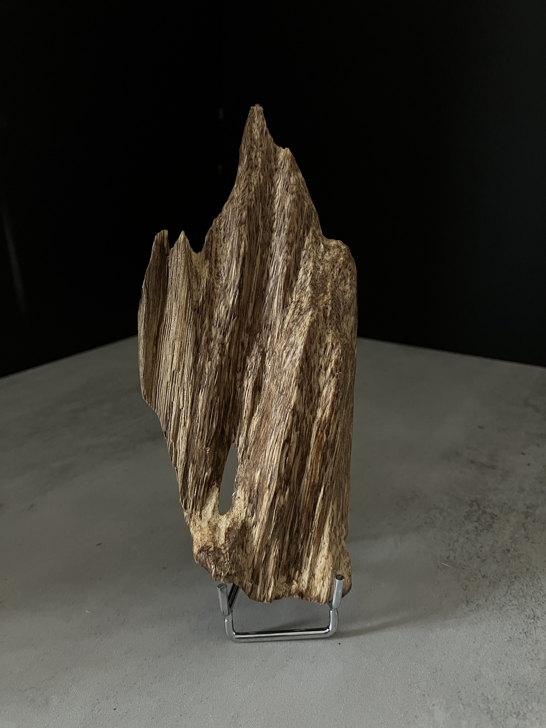 image_A21ACEB6-543D-4F75-974F-138F28CBF732_1767080785