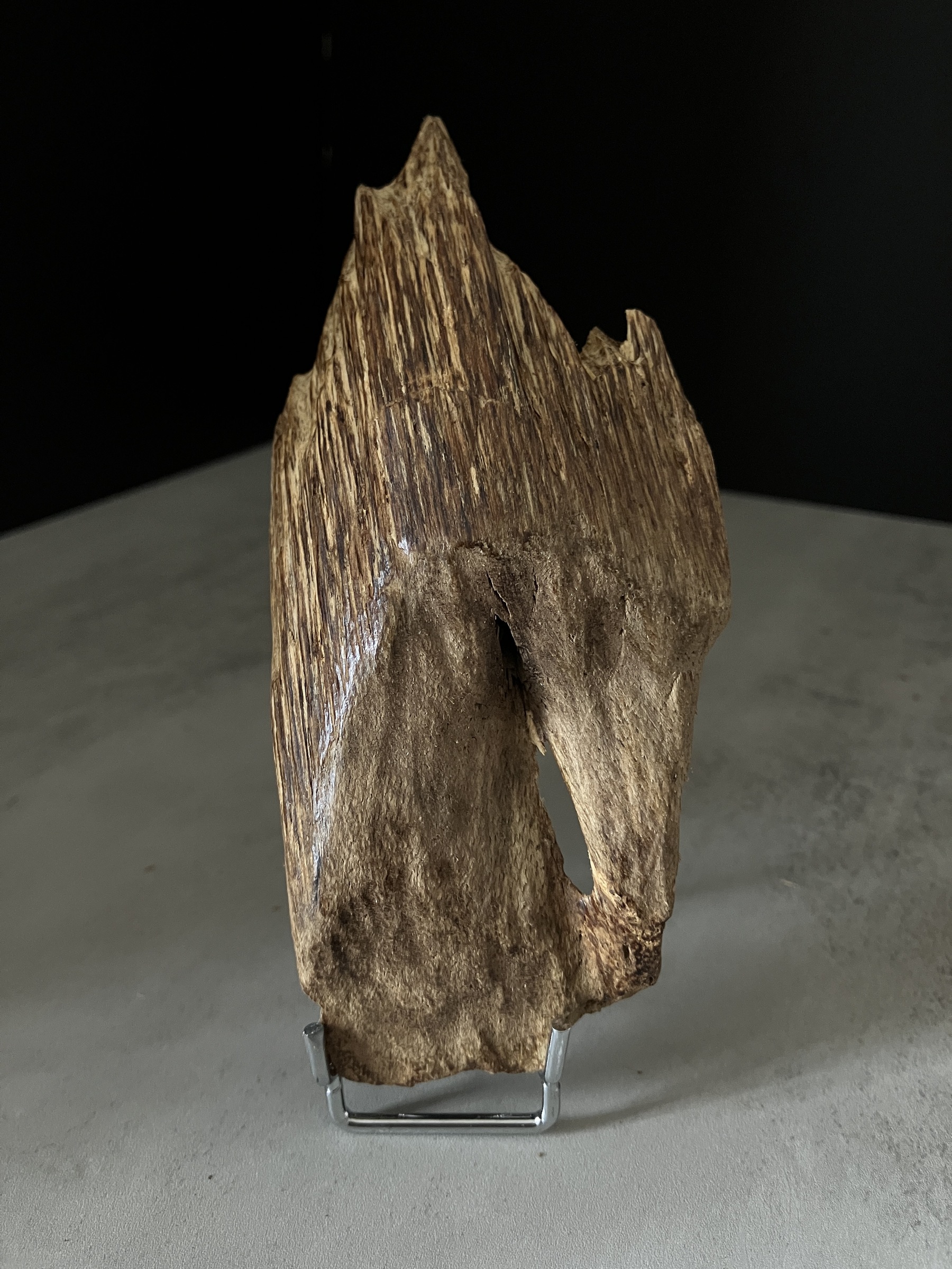 image_6B9F4F33-C1FD-482D-A1A8-0554E9B77CC2_1767080785