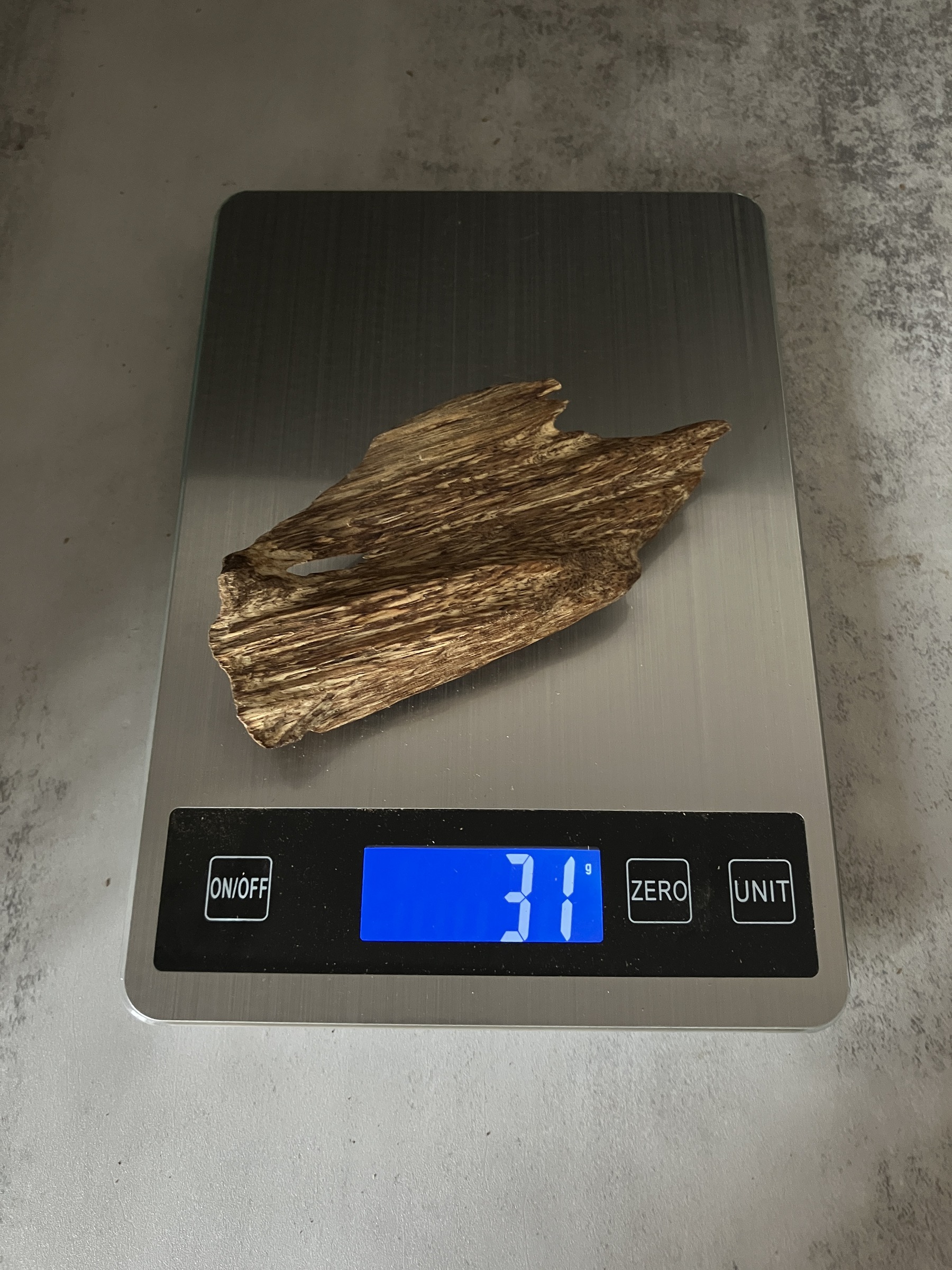 image_57150DE4-715F-49A1-A2F9-A1ED1AD8128B_1767080785