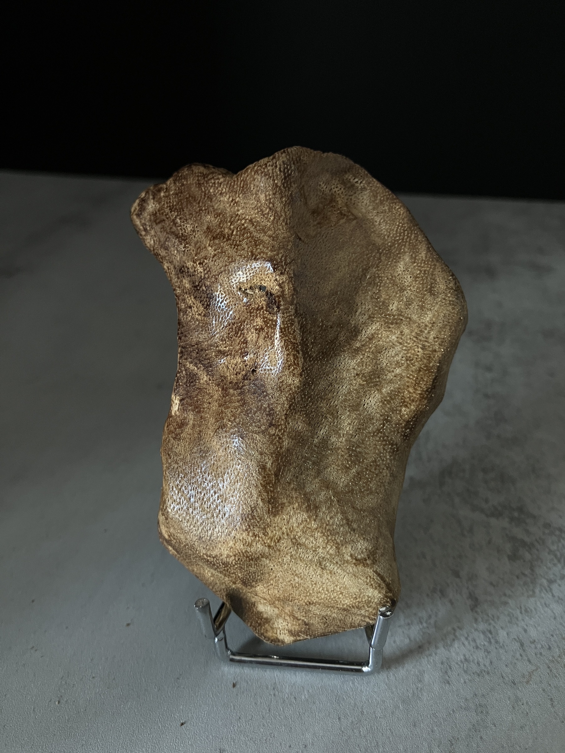 image_39D510EF-00B8-4B7F-A938-8D73DD00173A_1767080856