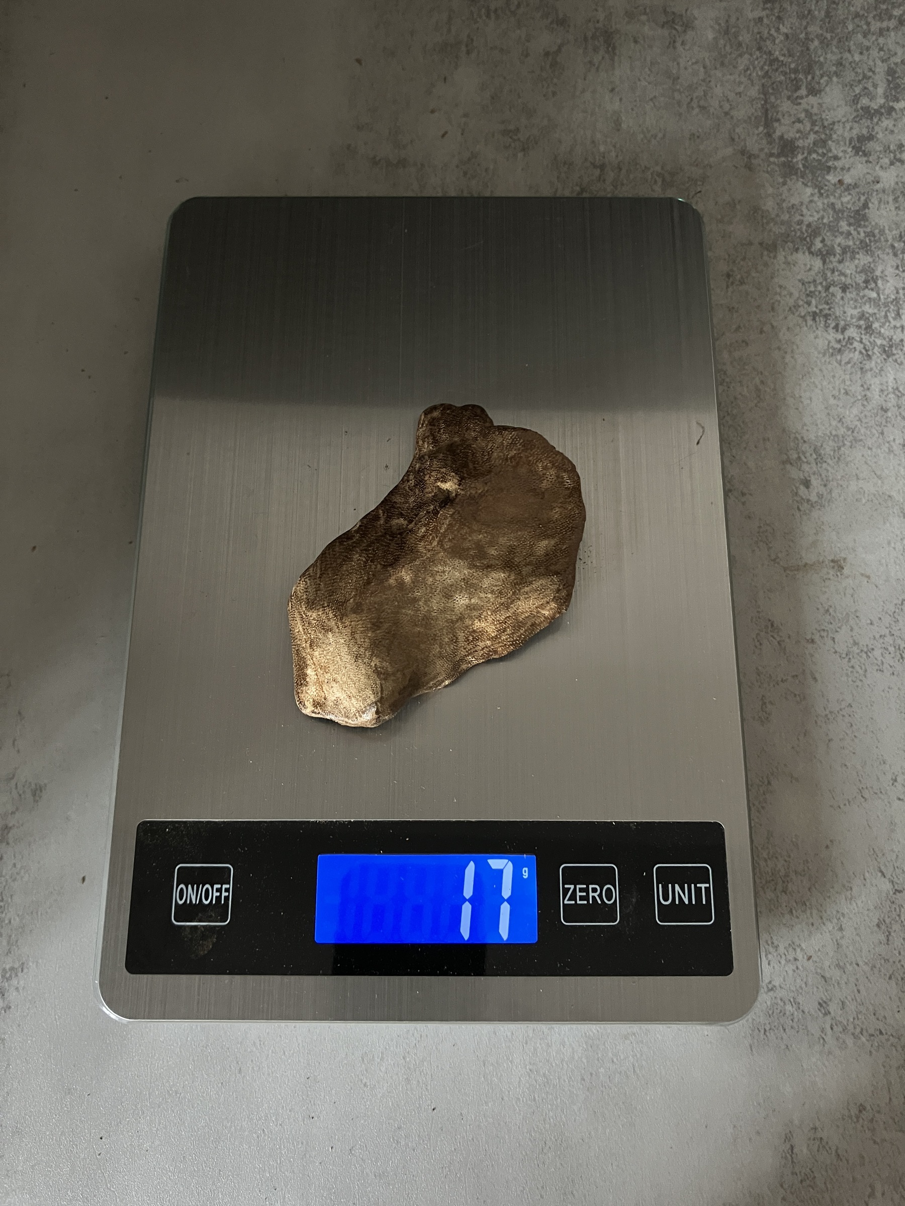 image_BA52A1E7-C077-4ABB-B0E4-574612C5AAF1_1767080856