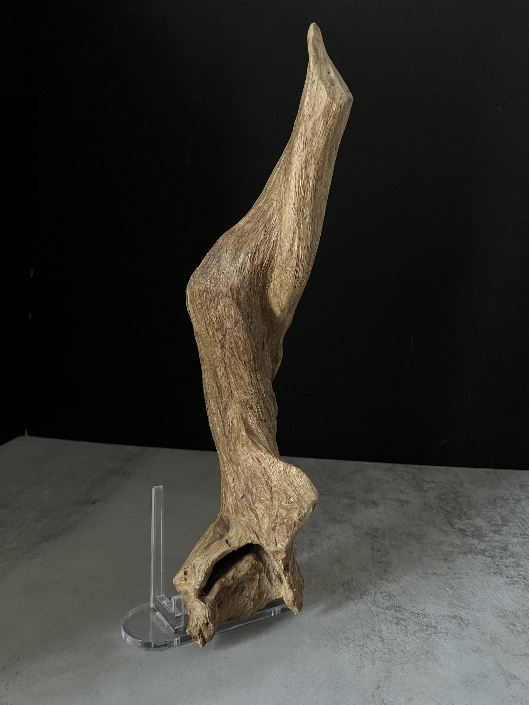 image_1CF83A77-1A46-438F-B584-AA7DAC1D9E35_1767080933