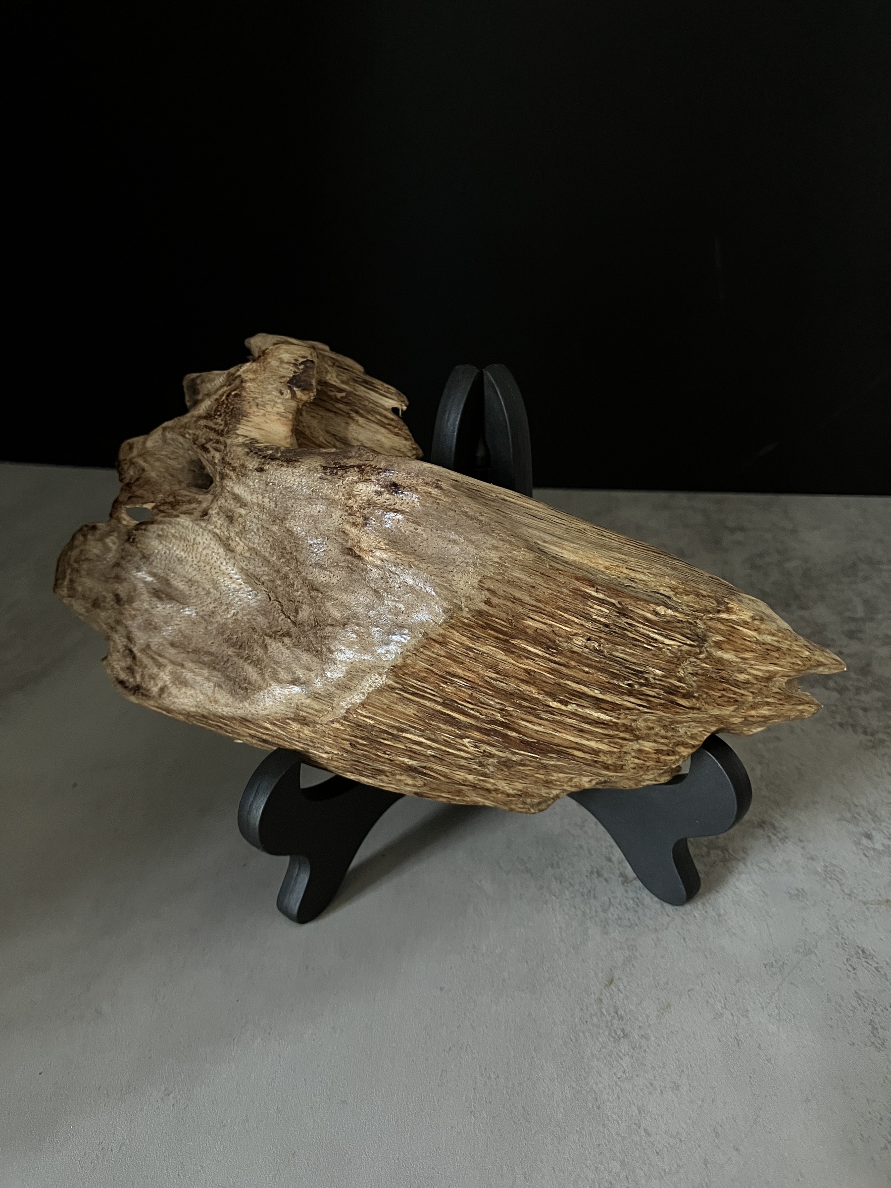 image_13E7DC55-4A83-4CF8-BBF4-F191737AD875_1767081033