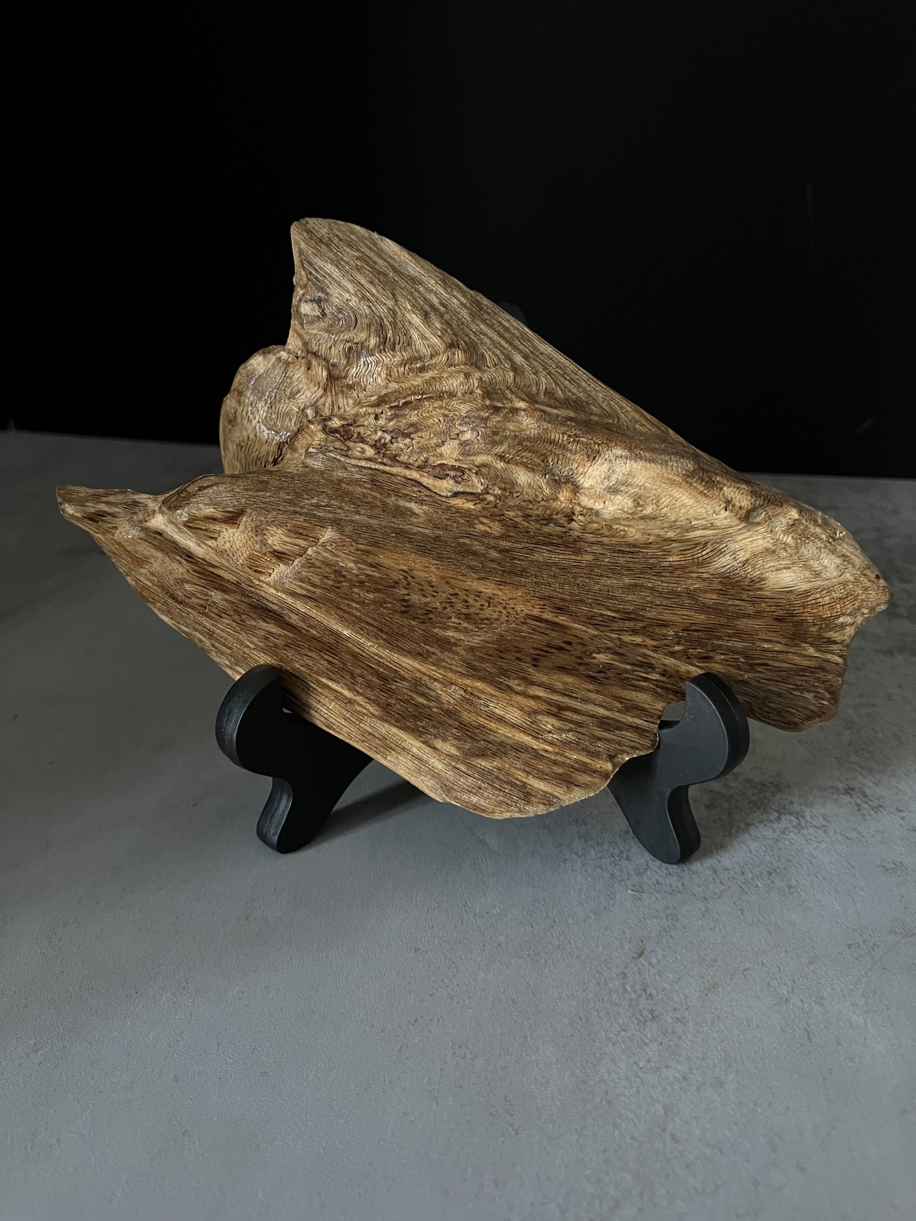 image_3BDD2CBA-831F-404E-98E8-8A230339C48C_1767081107