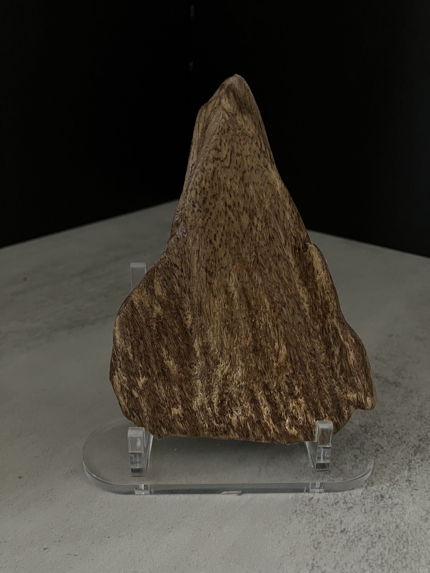 image_457EA0F0-B5AC-48C0-8F87-96C963E92762_1767081215