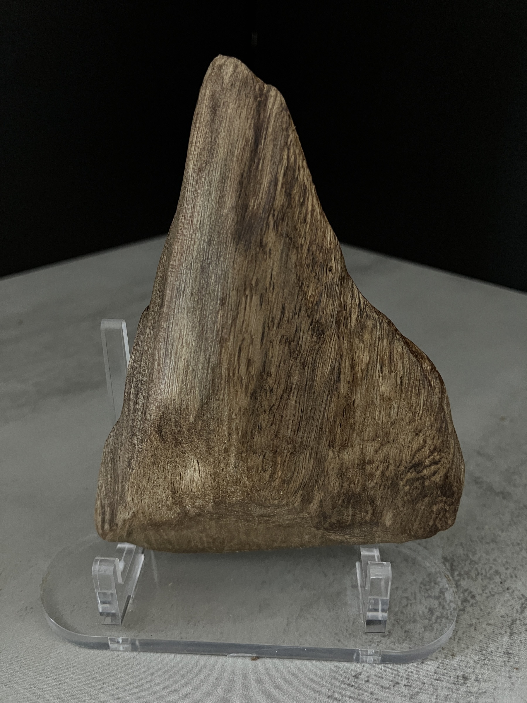 image_6F1CB99E-F408-4AF4-A00B-3B936446B232_1767081215