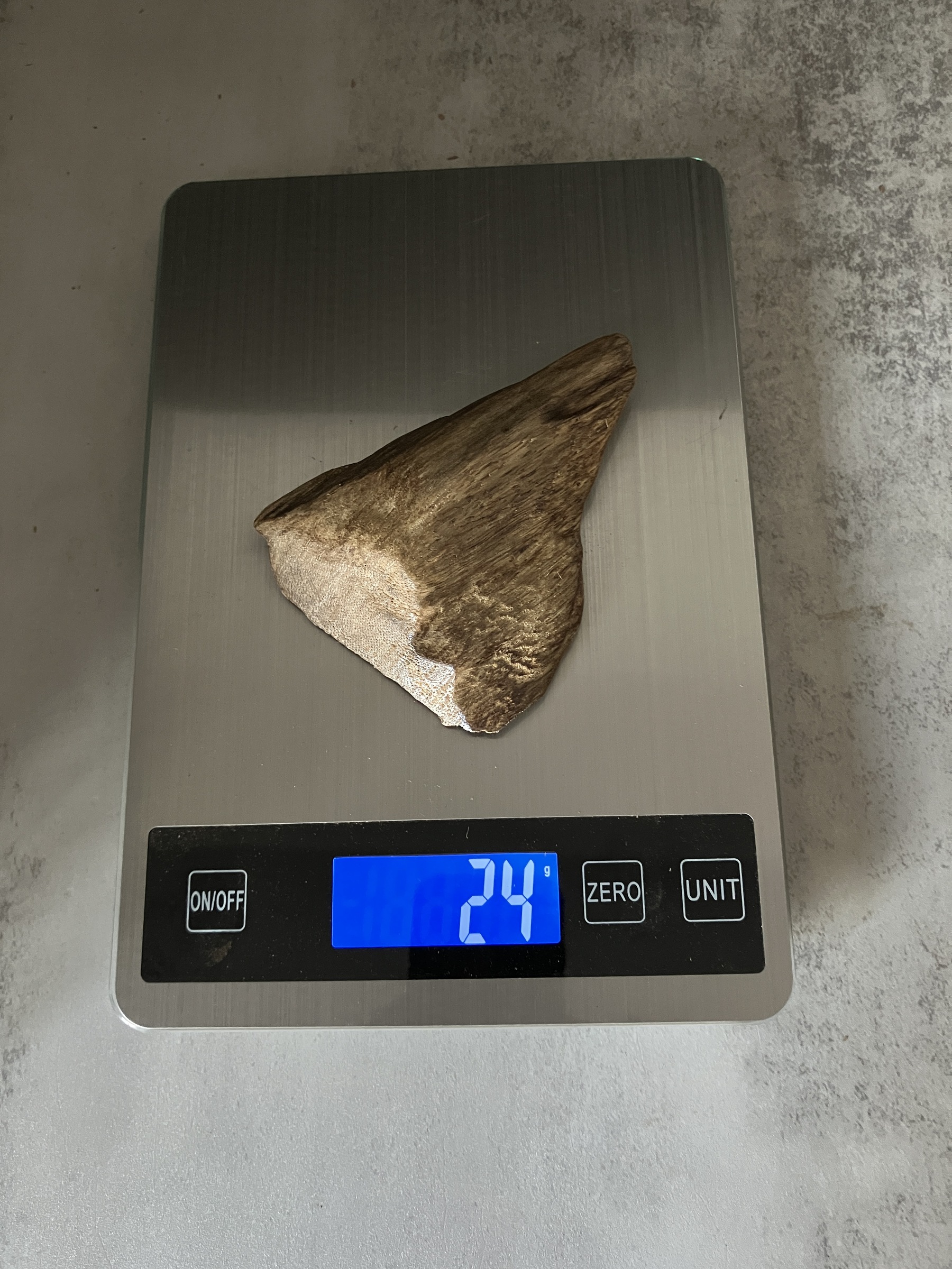 image_68AE6B19-7CE9-4A3A-B87F-3948C326F044_1767081215