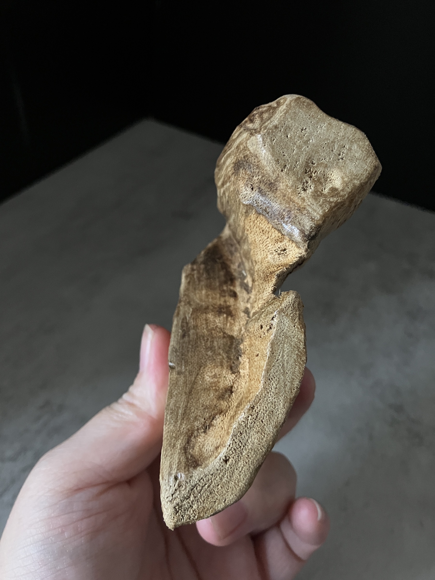 image_D2549A45-8E5E-4D92-B54B-E7994EE57B3D_1767683846