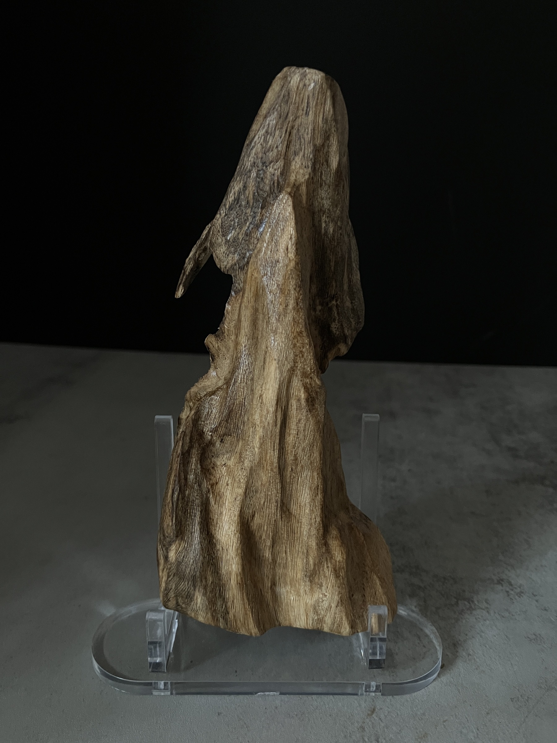 image_7F69E248-1140-4443-B0CA-D20F2FA632E9_1767684140