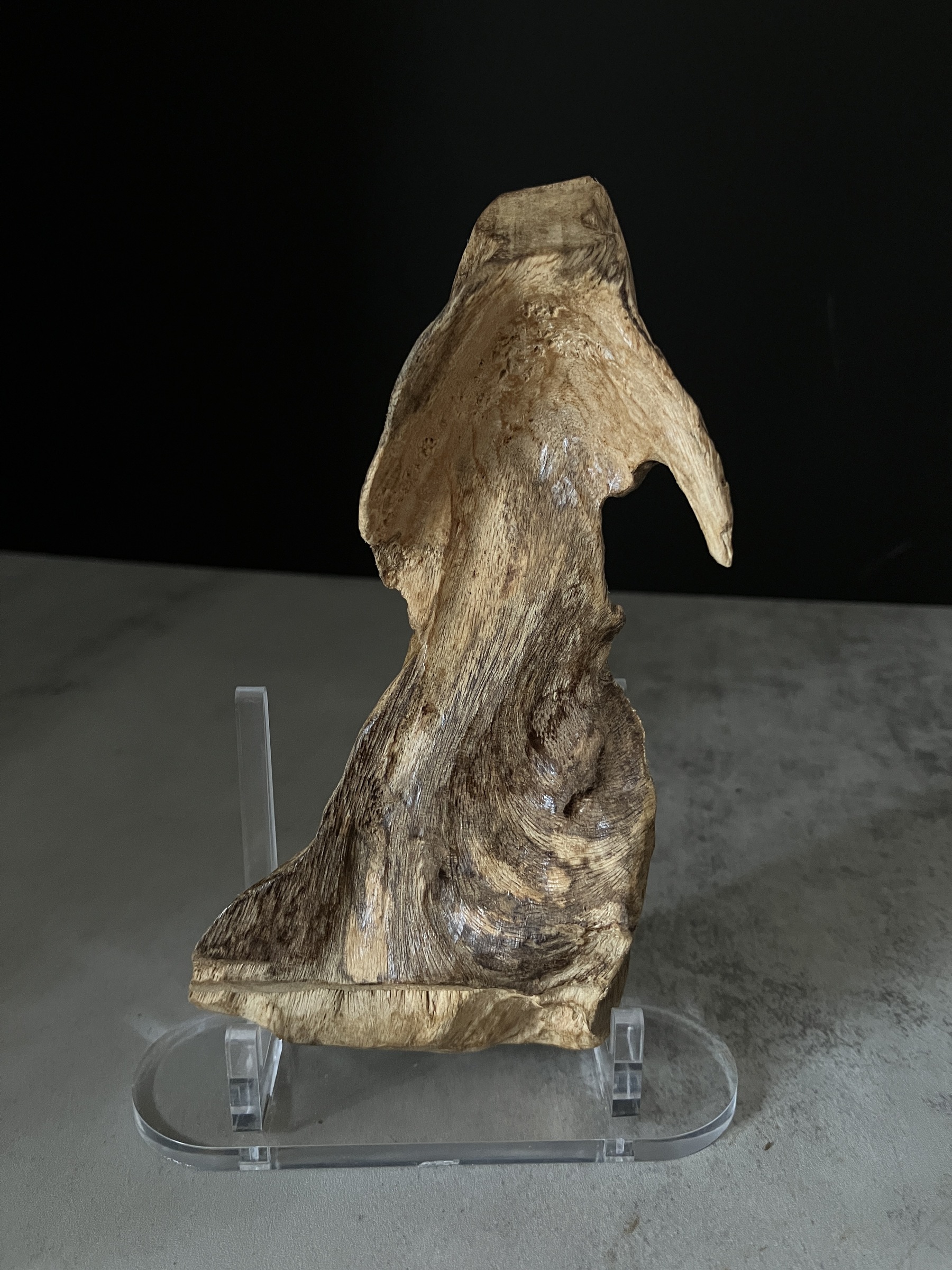 image_326E0B70-88DC-4235-99D1-A45B4ED6F5D7_1767684140