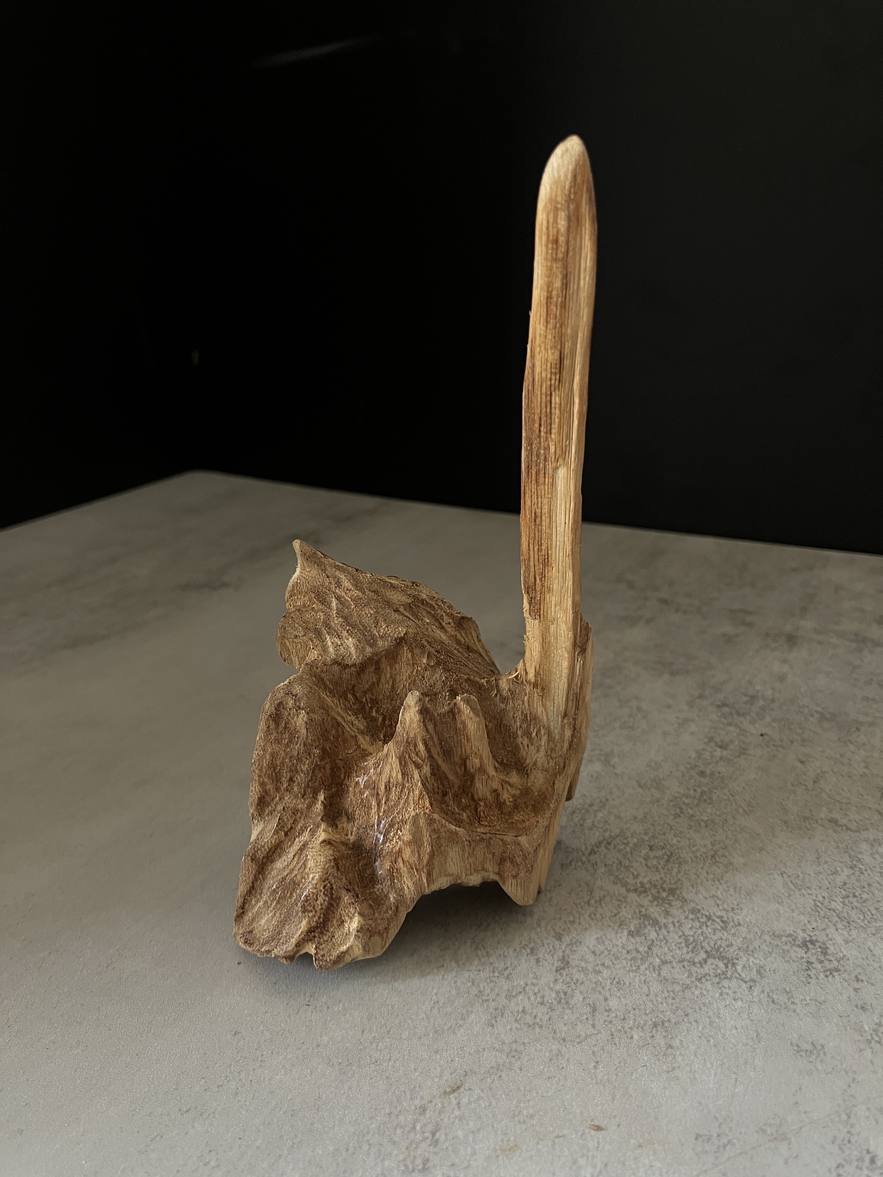 image_636C3458-C749-4BD6-985E-3D71C6AEAB40_1767684290