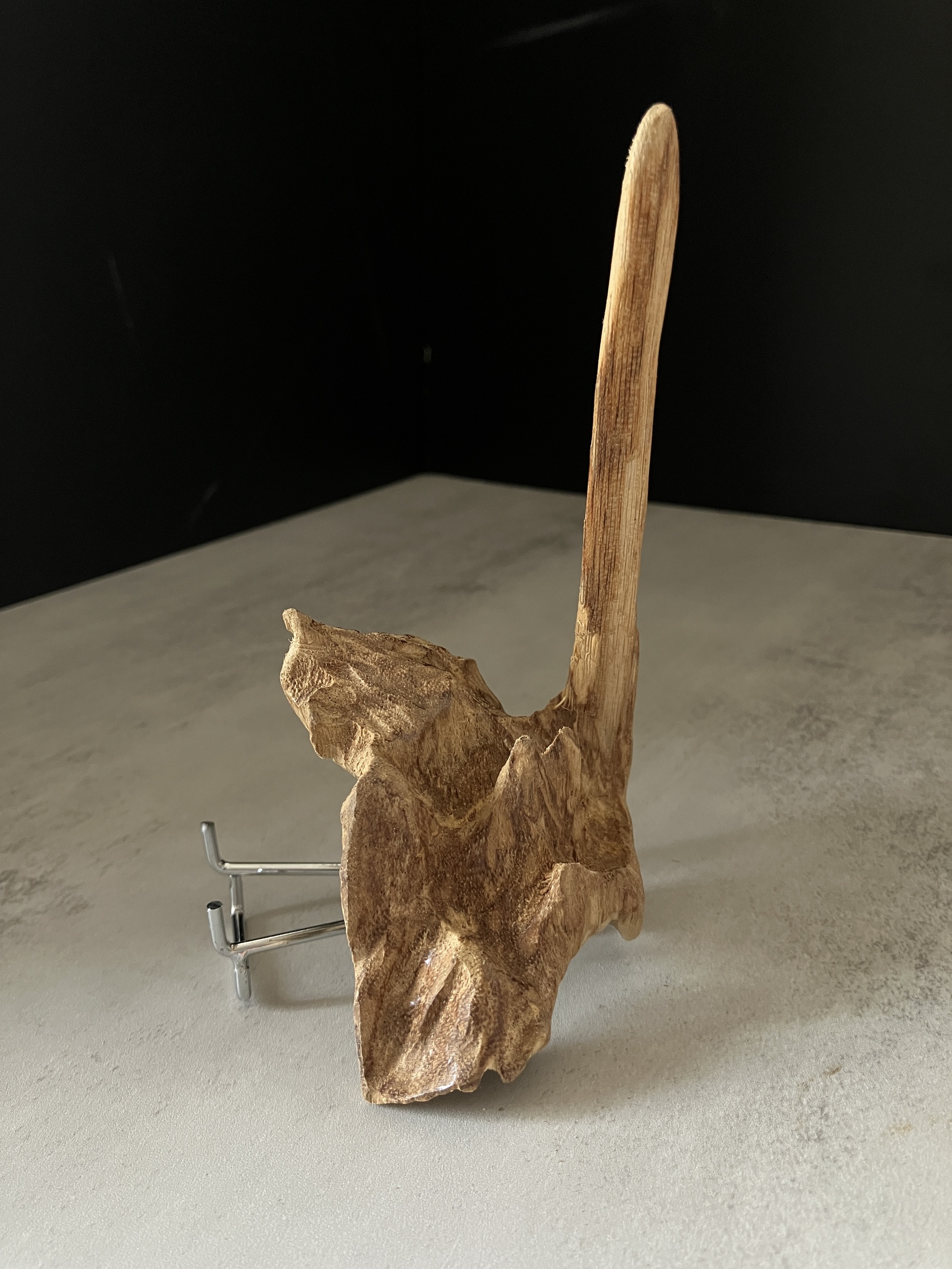 image_6253CCA8-790C-406A-8DAB-F48D56F7201D_1767684290