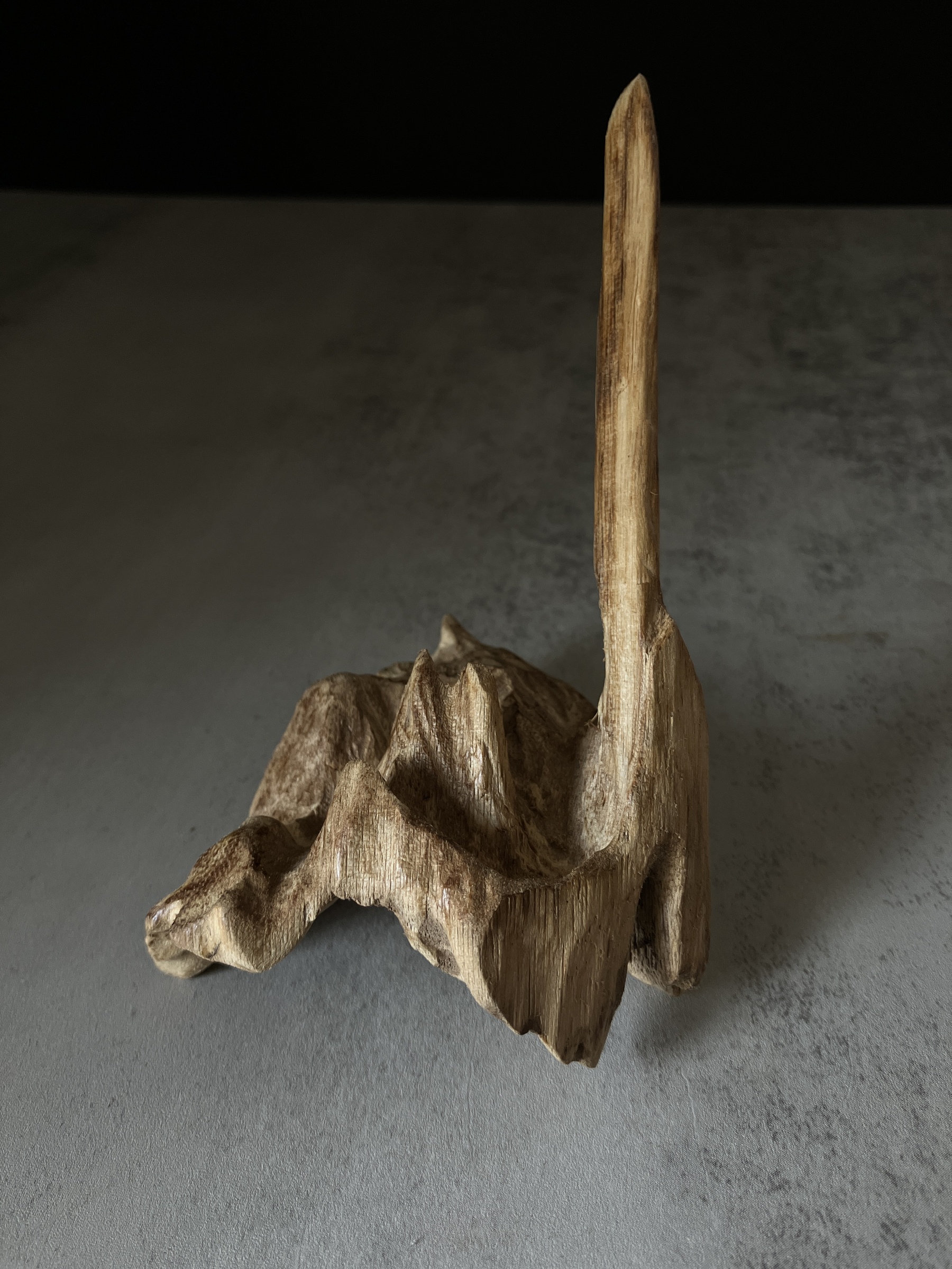 image_37E39702-962C-4DF8-B997-FF9928205A66_1767684290