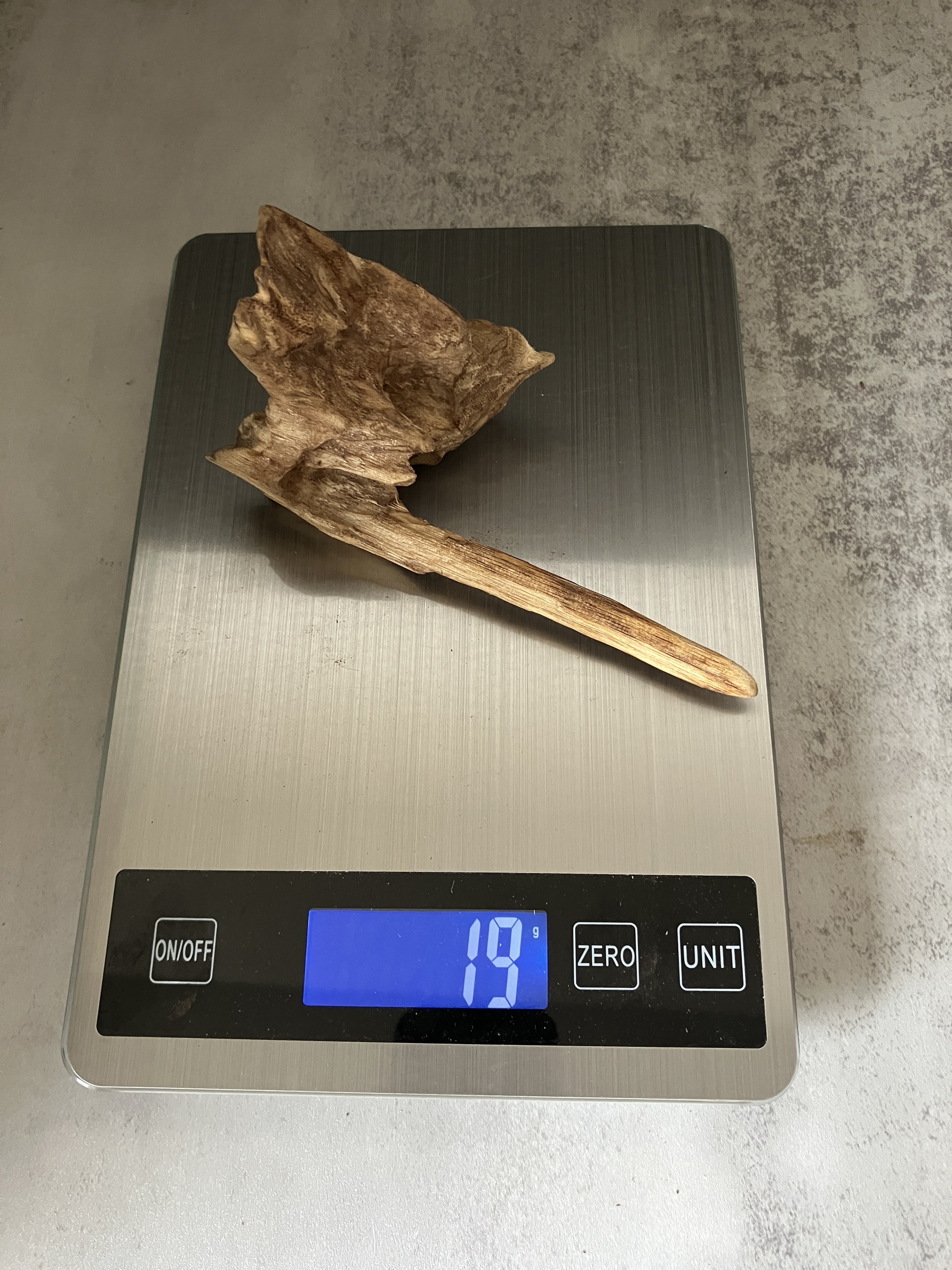 image_2A0E6344-02E3-4172-BD5F-19E387C4F092_1767684290