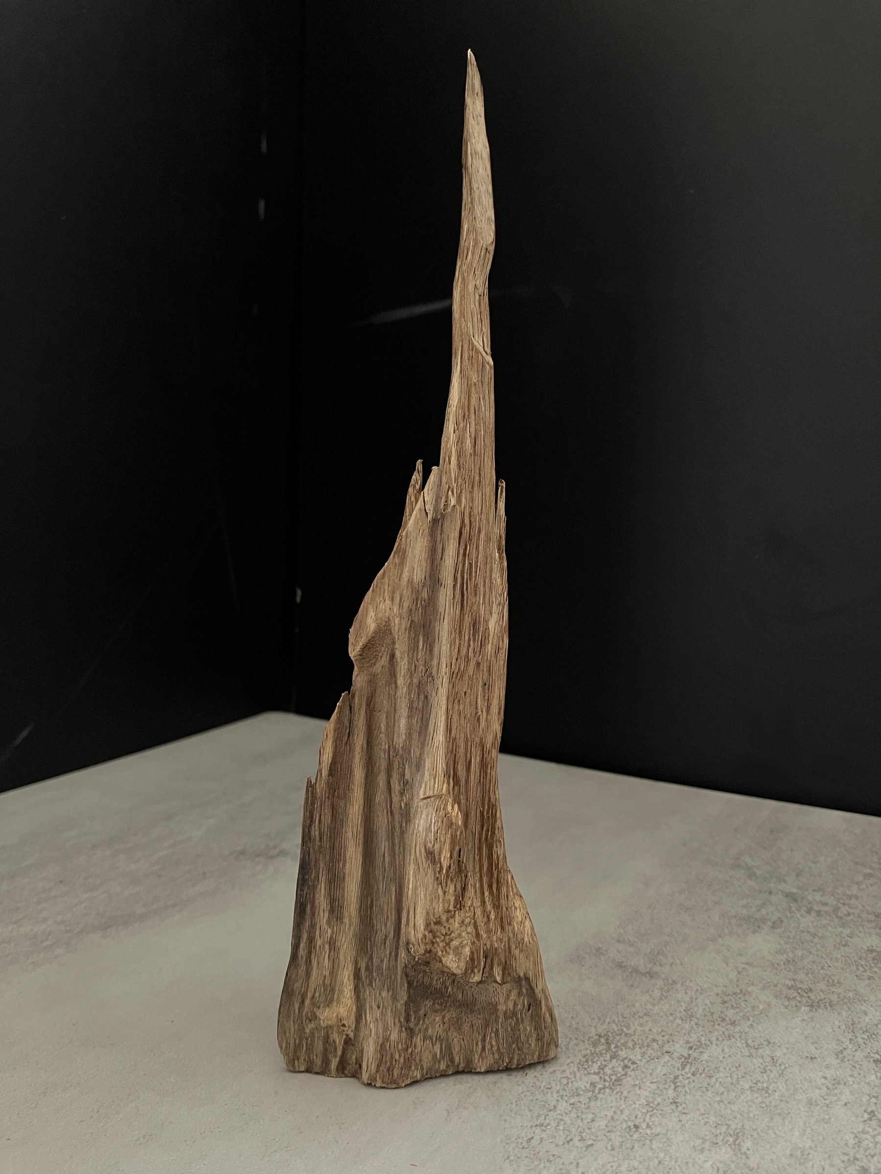 image_3A1AB803-568B-4628-AC16-F62824B56819_1767685367