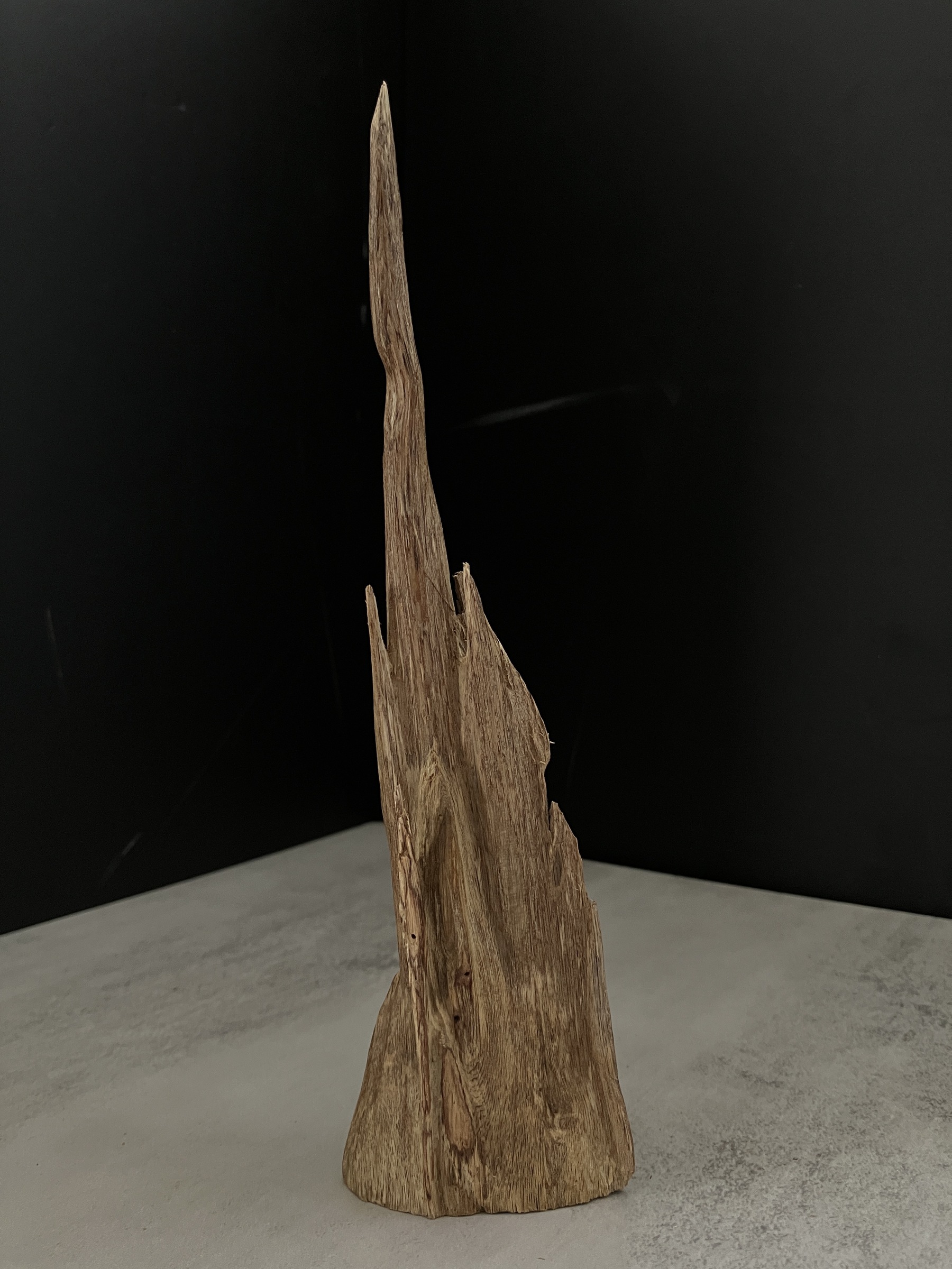 image_48703C5C-5D51-4B3A-BF7B-9FA3862B03C9_1767685367