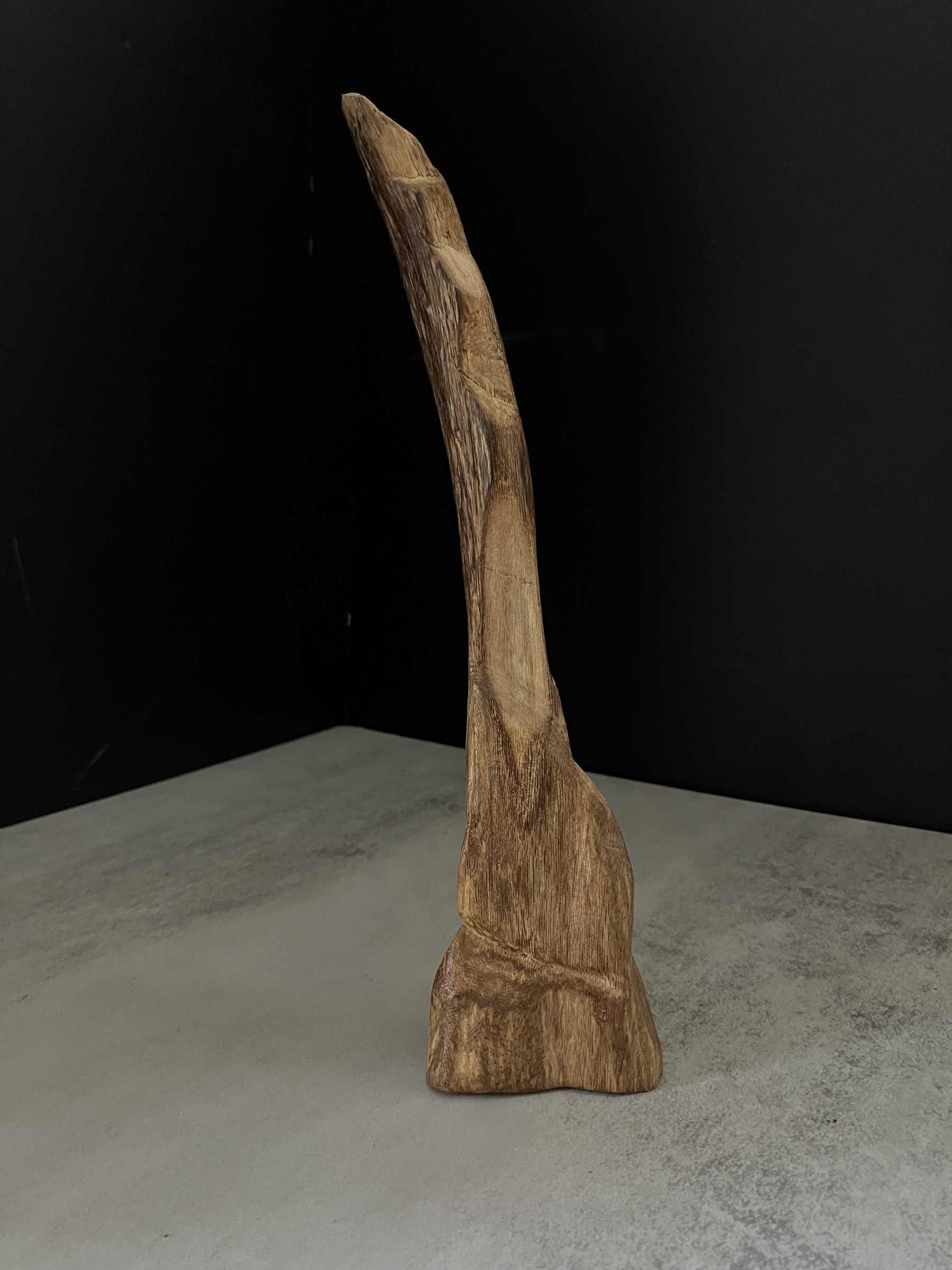 image_28968376-ECAA-4FB3-AB5E-881D28BDDCB0_1767685890