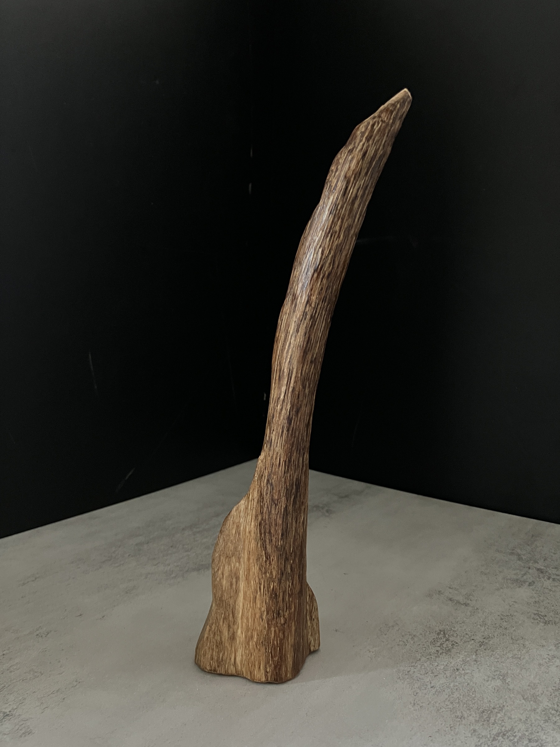 image_1F1A644D-D214-486C-92B0-A82993EAA7D0_1767685890