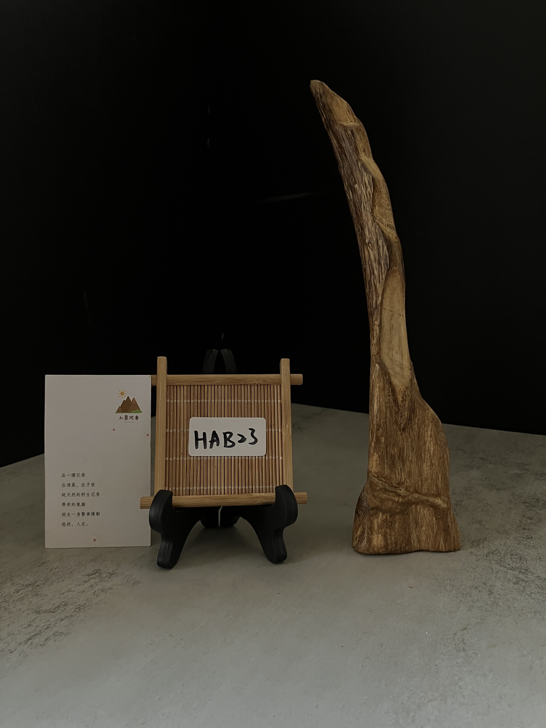 image_DB649505-4AA0-46CC-8EFF-EBDE12990E89_1767685890