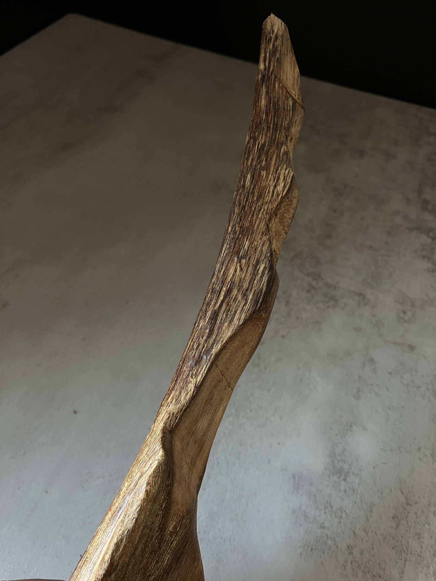 image_98318290-9B3E-4134-8170-E070D9170D1D_1767685890