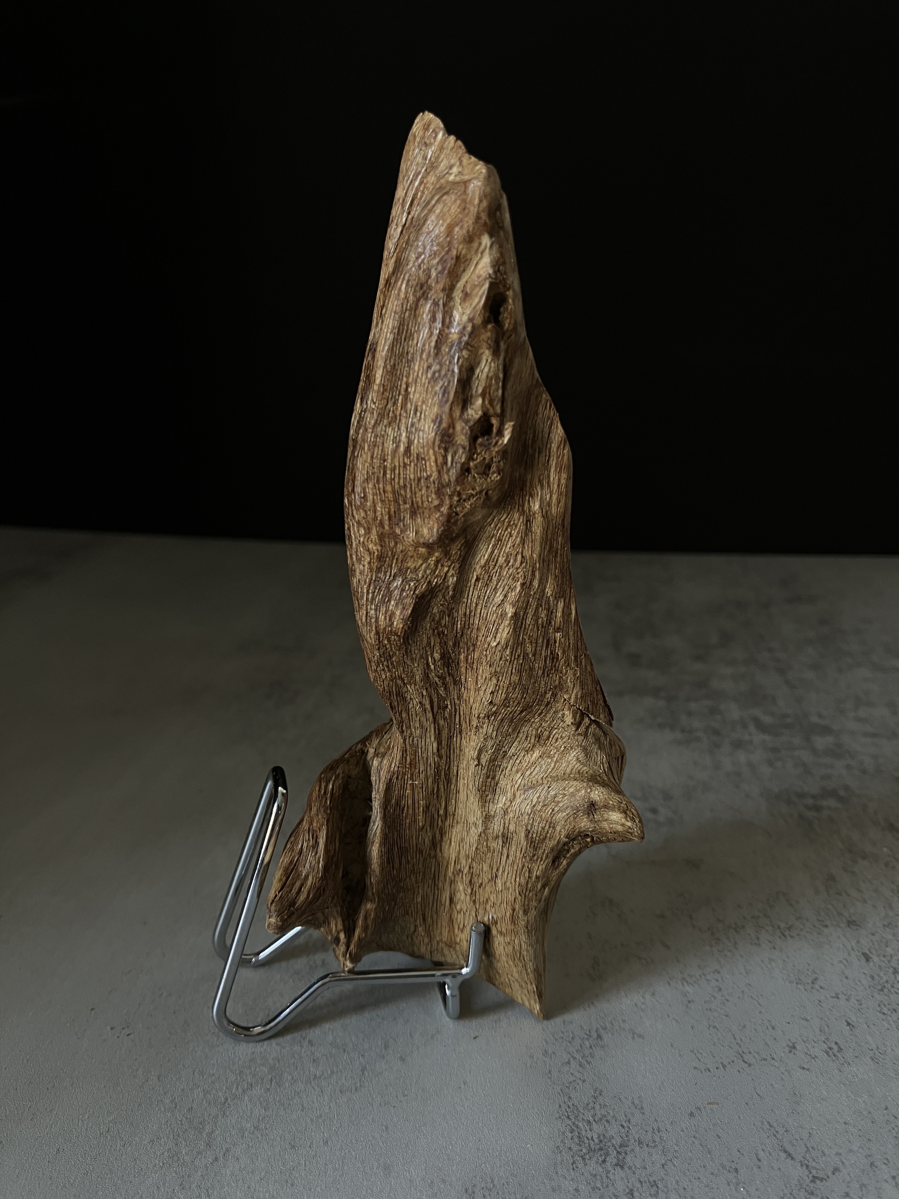 image_E4136C7C-B2D6-4EED-825D-A9AD0C8EFDB7_1767686056