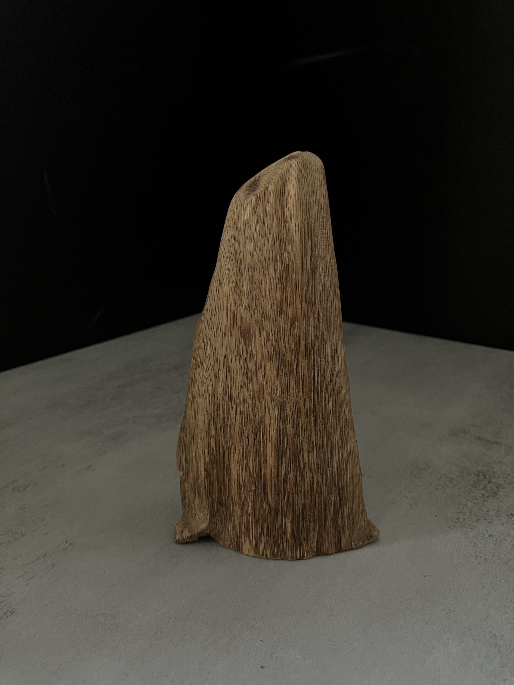 image_1AF2D204-855E-42ED-9797-C04328393BF9_1767686195