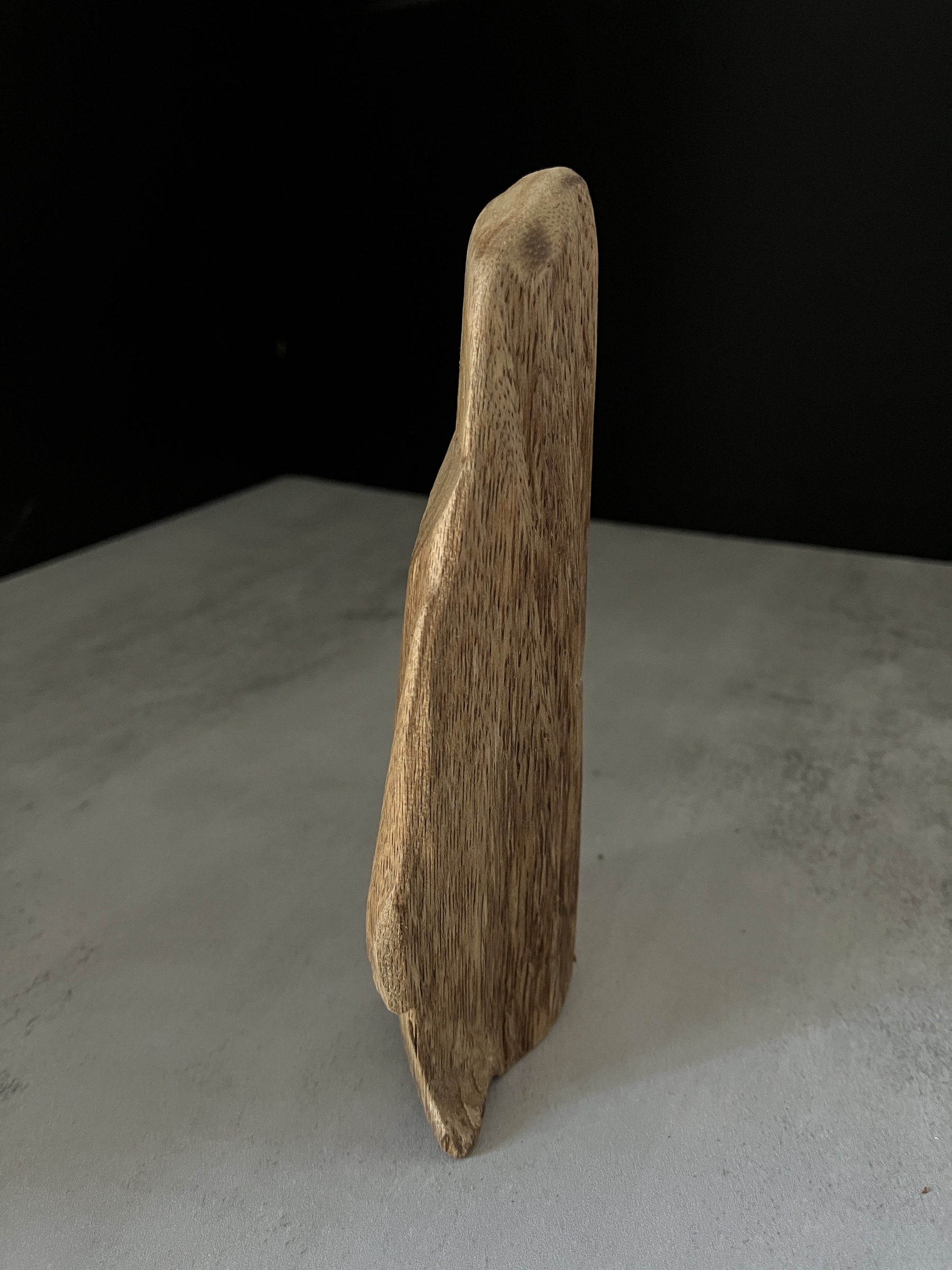 image_D827D190-4554-4659-B668-AFC150612528_1767686195