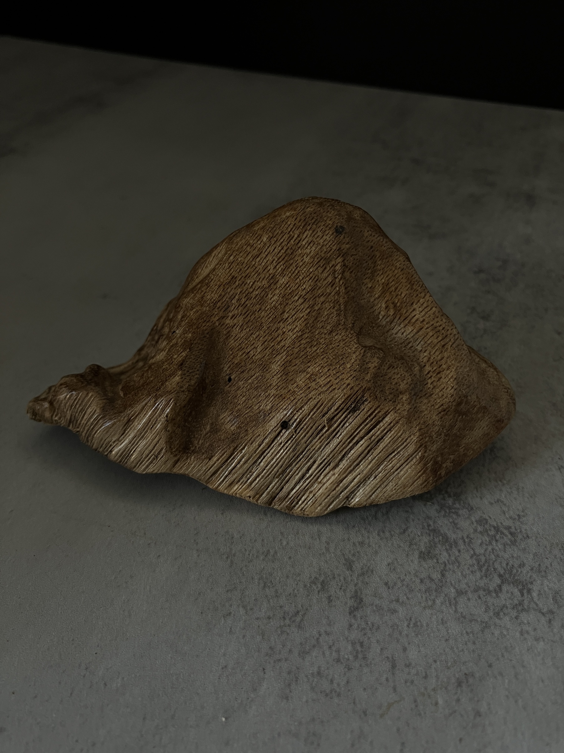 image_1FBB67FC-D0DF-449F-A40E-556562958025_1767686301