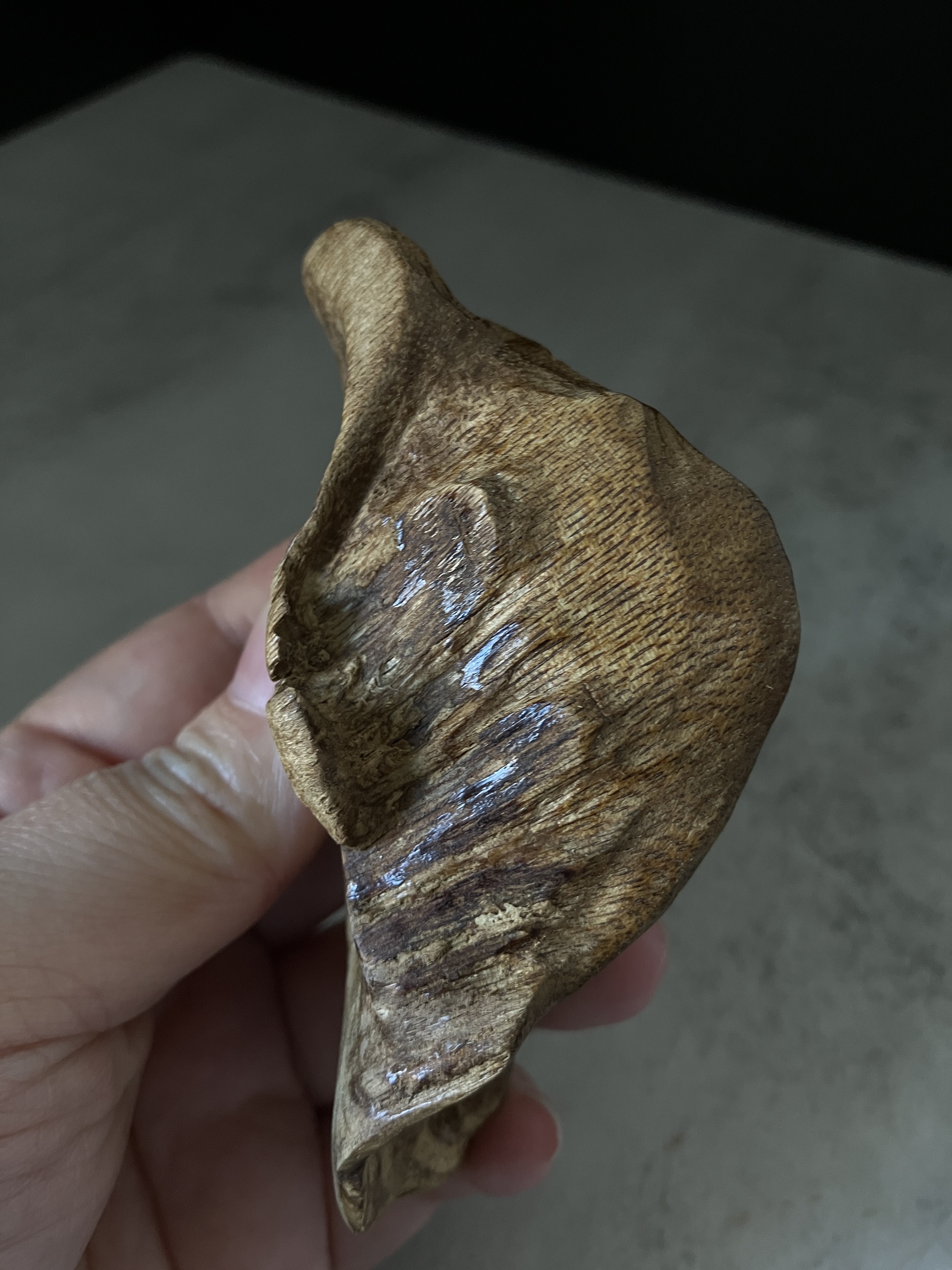 image_4F35E5AE-7E7E-4932-8ADA-FF6DD9B0D060_1767686301