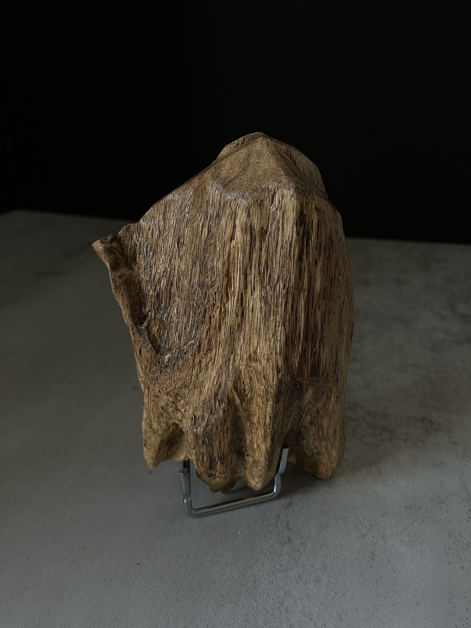 image_12B5404E-B7A6-4D07-83C8-1E82537AC475_1767767069