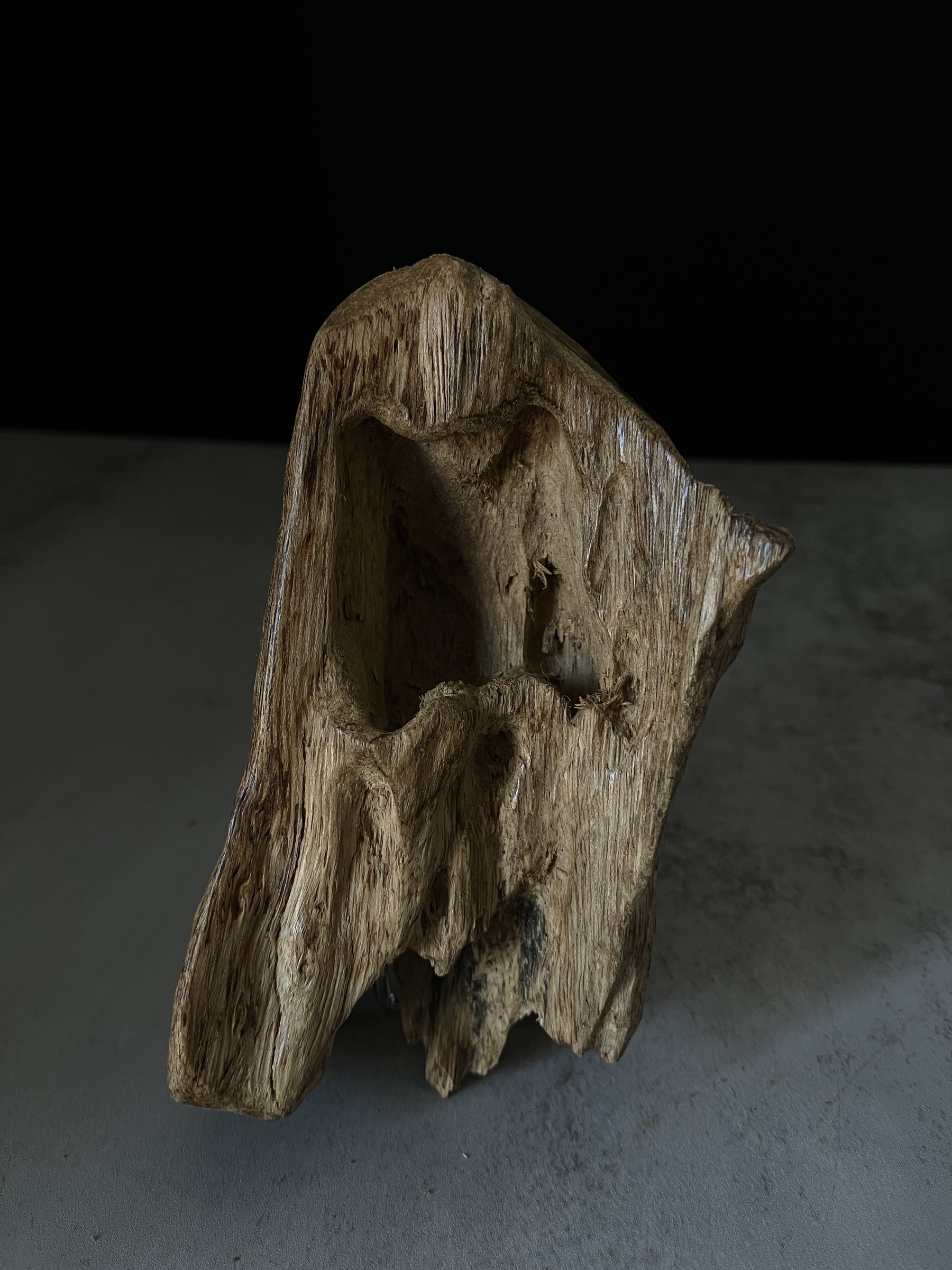 image_C06EC68E-EFE6-4EBD-96BC-39D10F07E822_1767767069