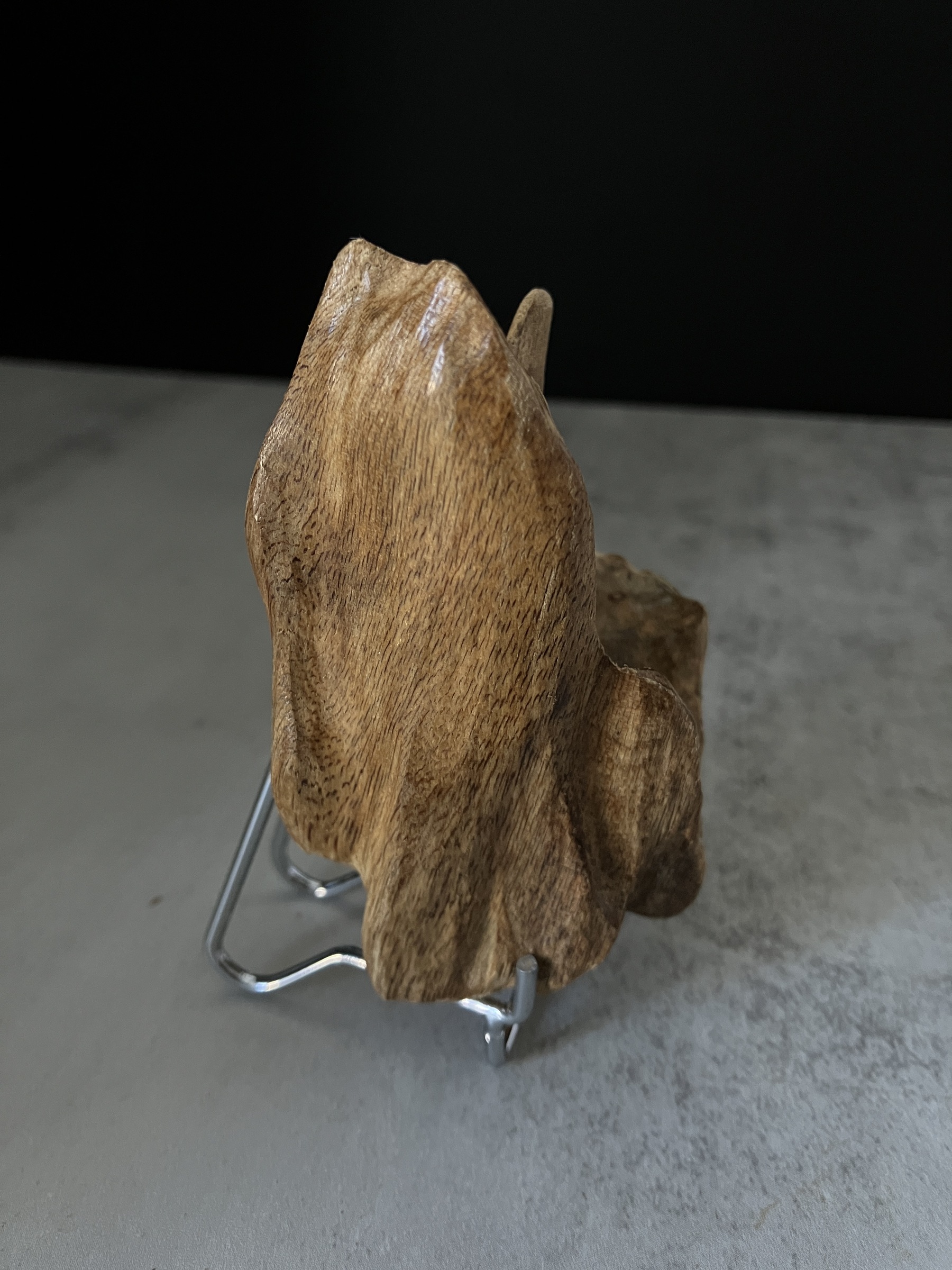 image_10F2C762-1491-4005-AD31-F5D736586C40_1767767206