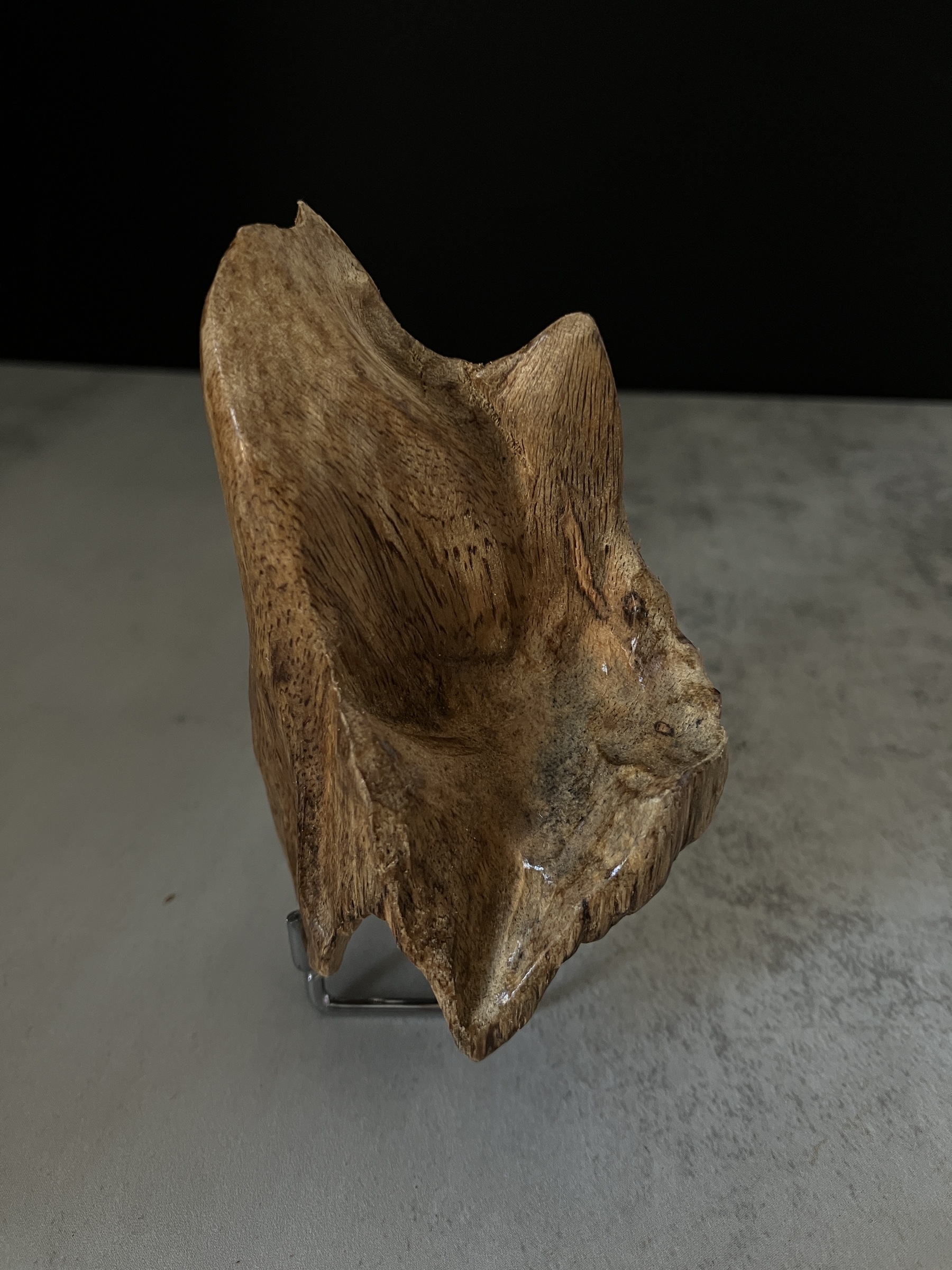 image_9A1935C5-A479-4A17-9F56-7A036C496626_1767767206