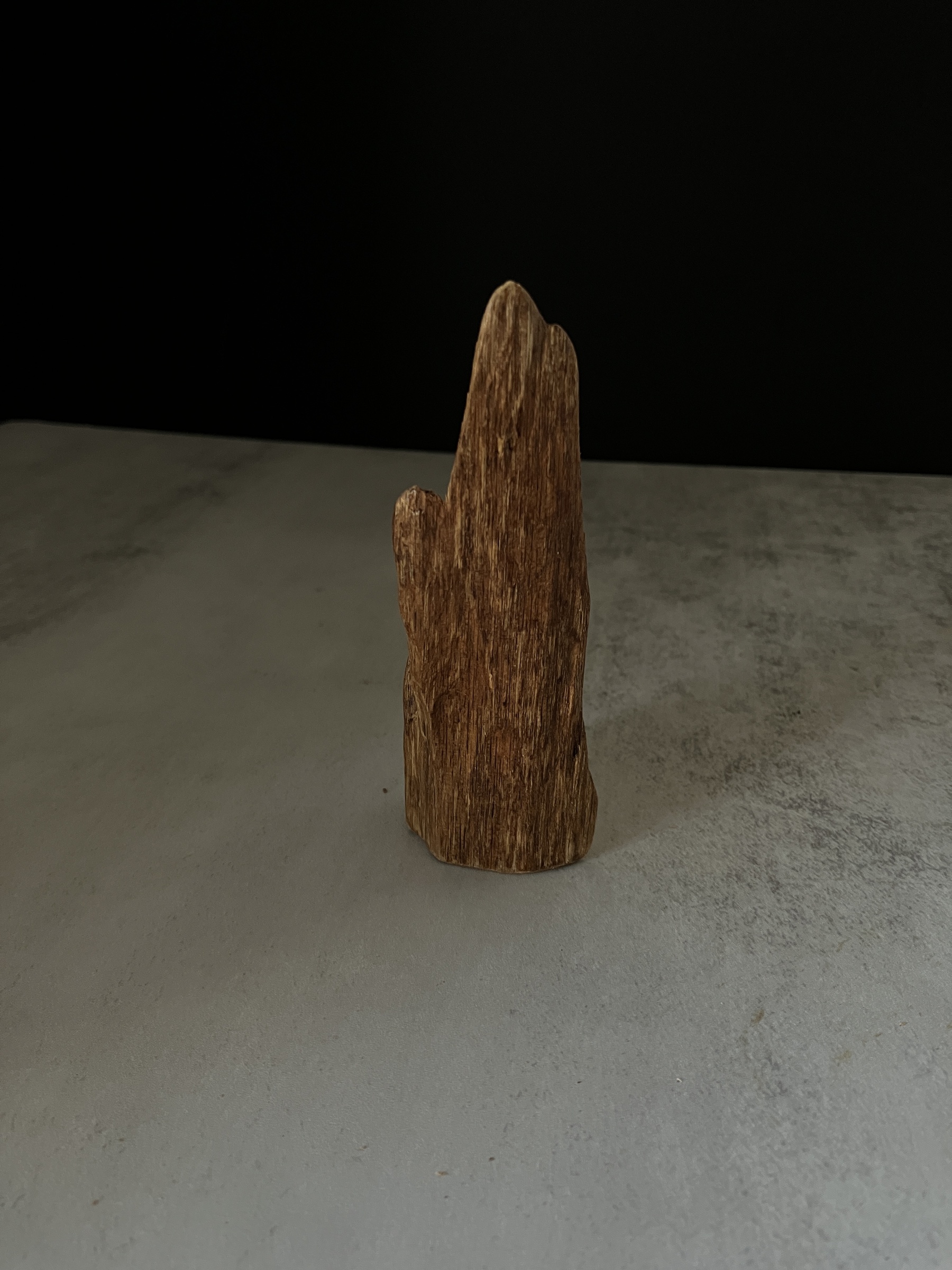 image_8D50466D-E59D-4E6A-B13D-945E9BEFA21A_1767767338